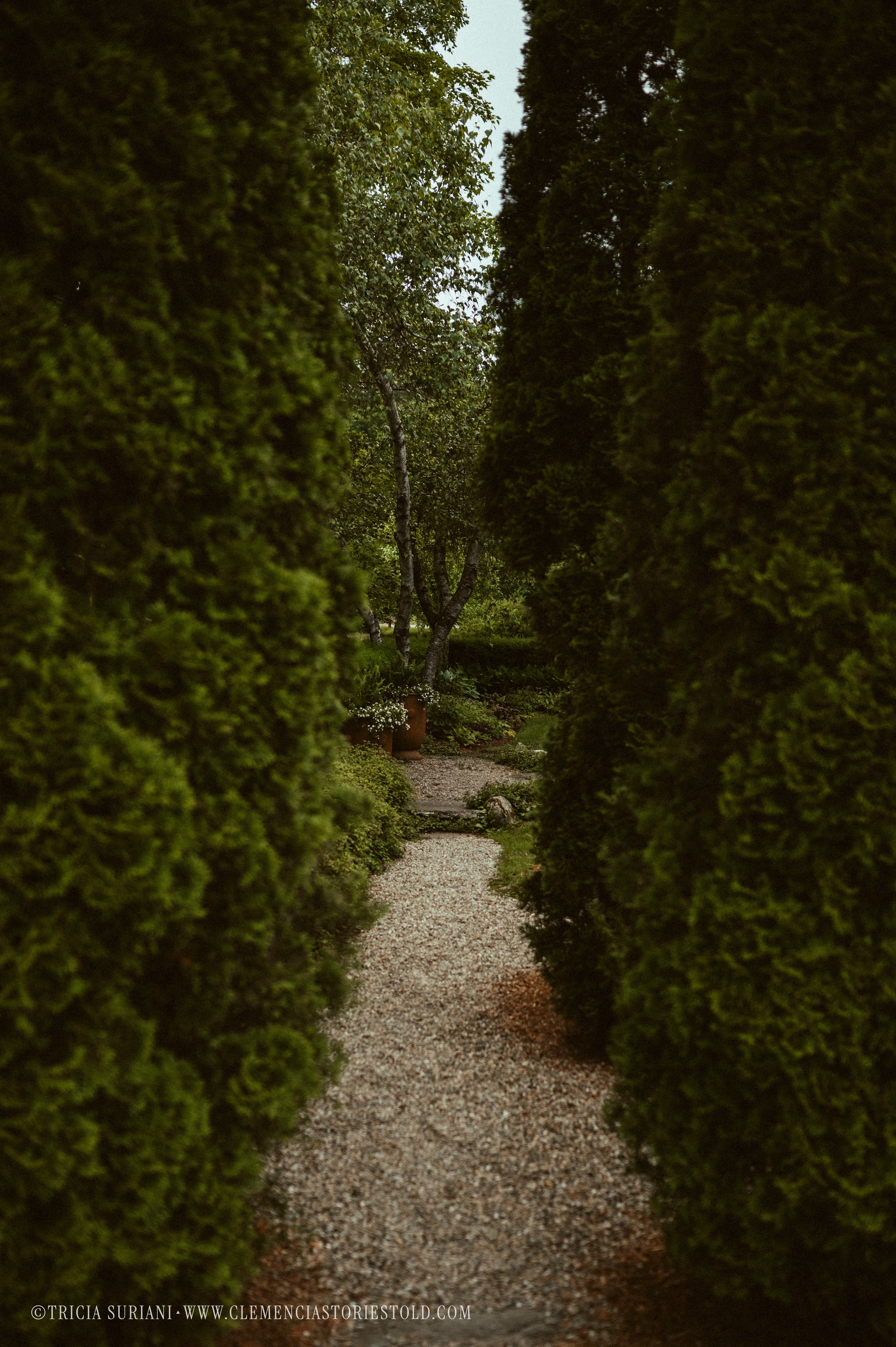 Grafton Vermont_Photo by Tricia Suriani-8.webp