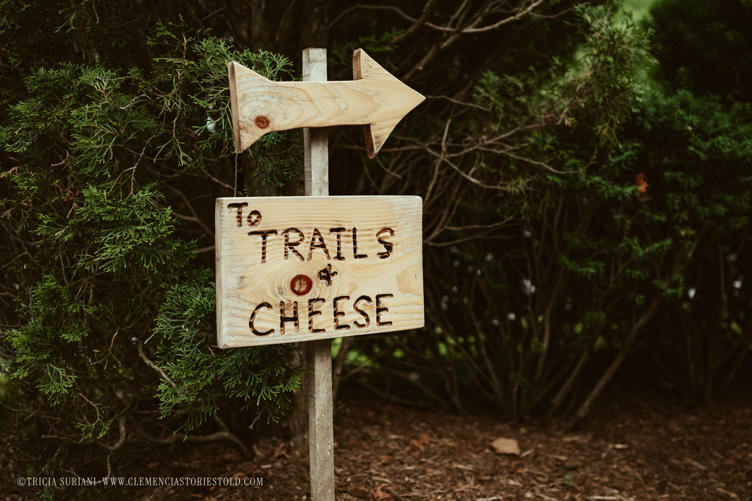 Grafton Vermont_Photo by Tricia Suriani-14.webp