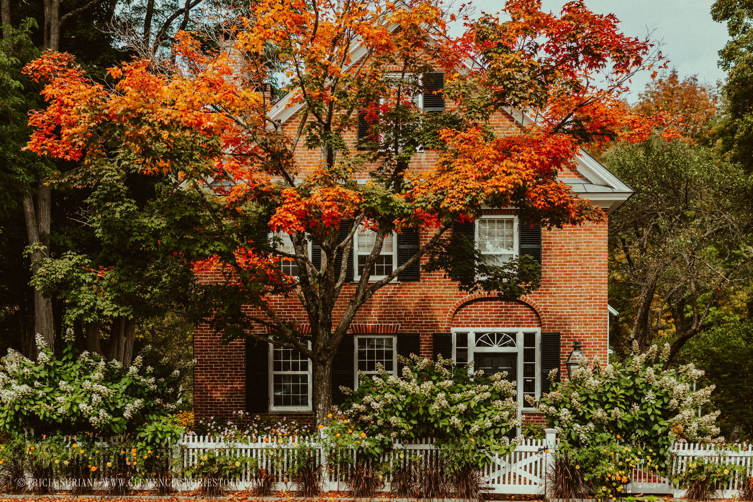 Grafton Vermont_Photo by Tricia Suriani-26.webp