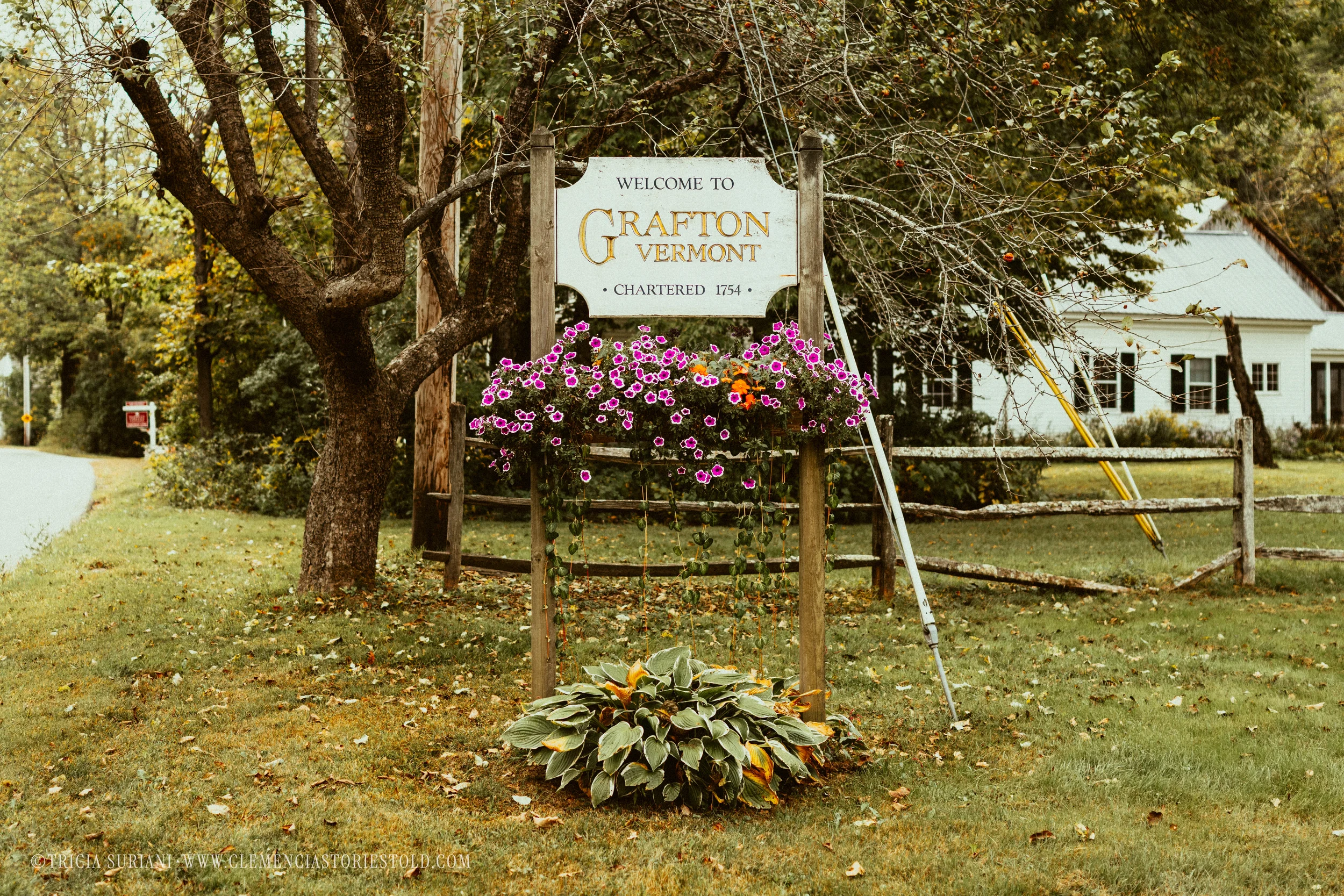 Grafton Vermont_Photo by Tricia Suriani-28.webp
