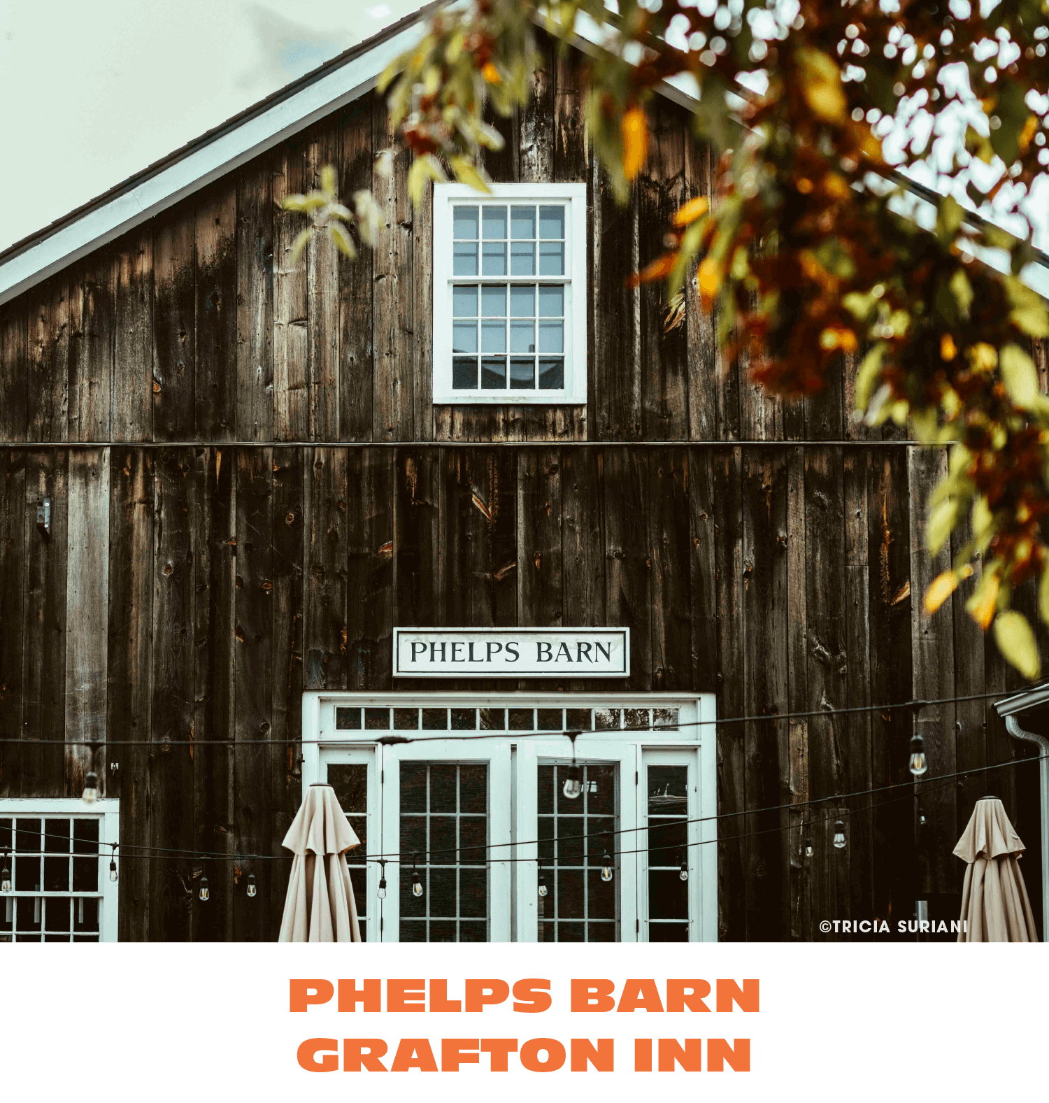 A rustic wooden barn with a white-framed window on the upper level and white double doors on the lower level, with a sign reading 'Phelps Barn' above the doors. There are outdoor string lights and umbrellas in front of the barn.