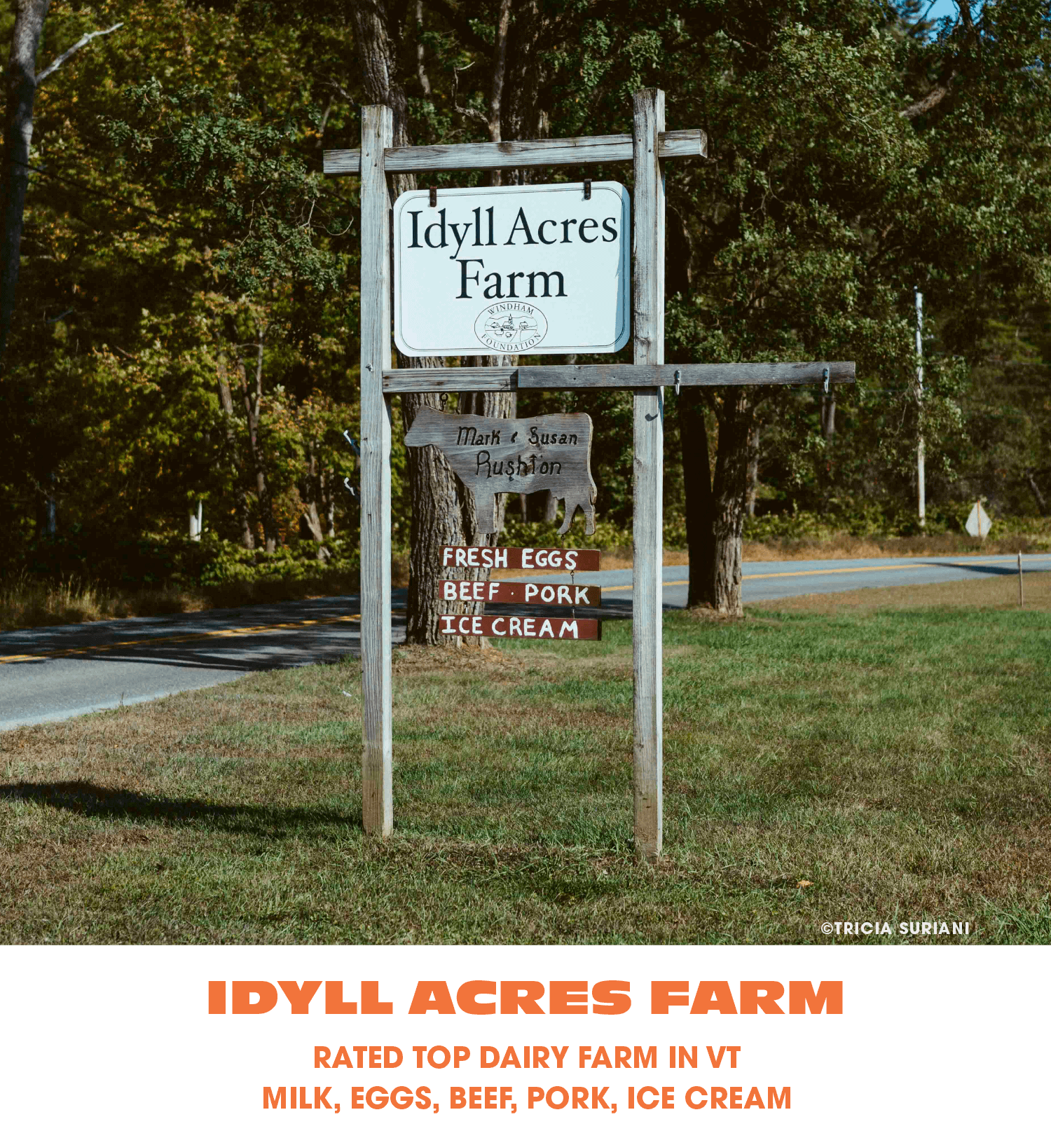 A wooden signboard outside Idyll Acres Farm in Vermont lists products for sale, including fresh eggs, beef, pork, and ice cream. The sign displays a map of Vermont with the farm’s name and features a background of trees and a rural road.
