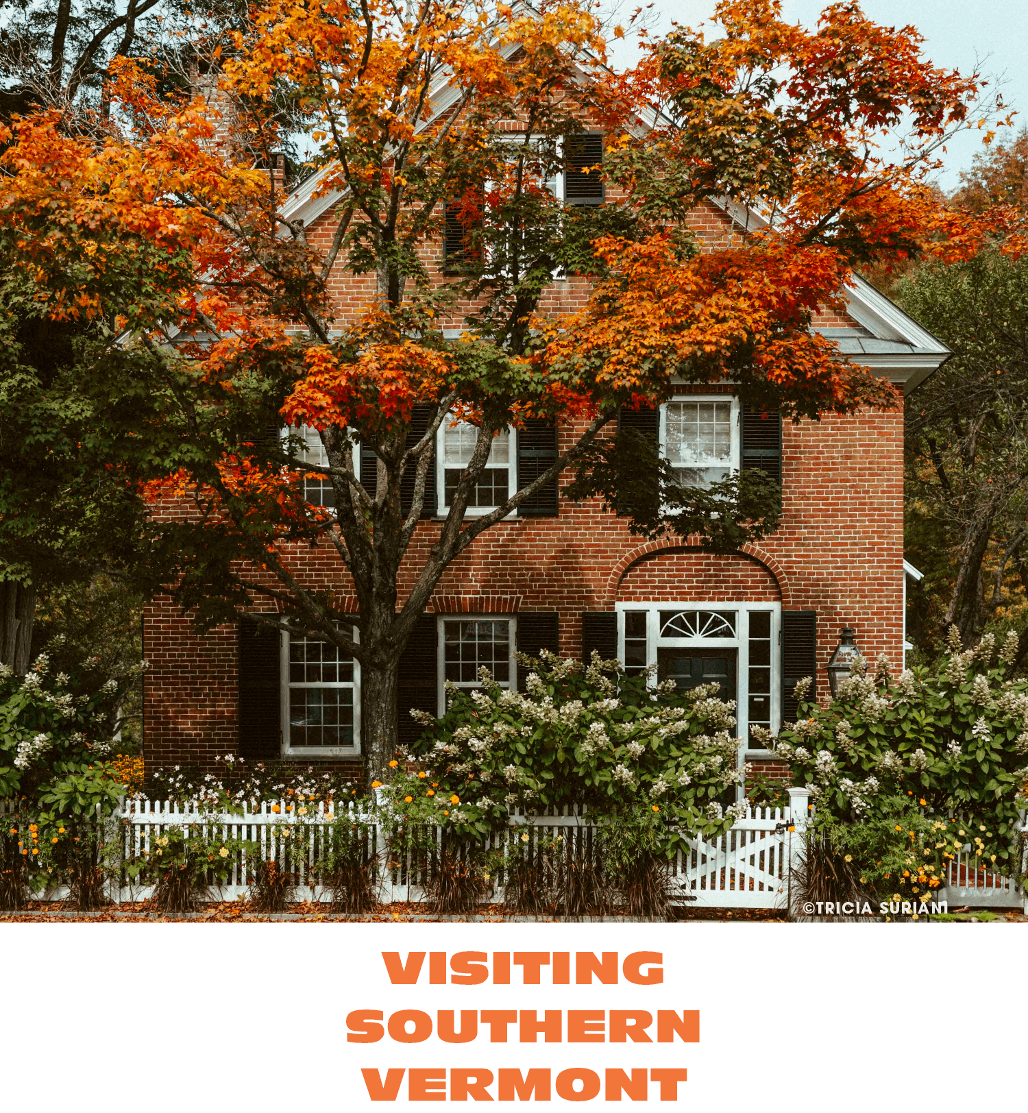 A brick house with black shutters, a large tree with orange and red autumn leaves, and a white picket fence with white and green flowering bushes in front. The house has multiple windows and a white front door with an arched window above it. Text at 