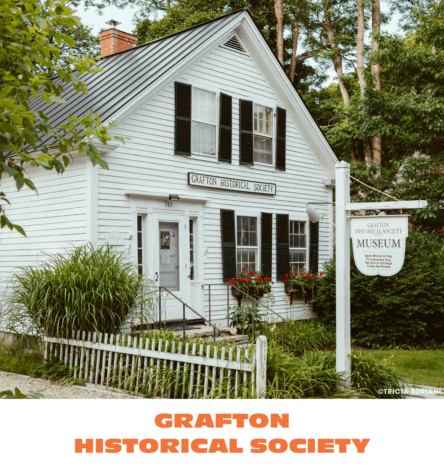 White farmhouse-style building with black shutters and a sign that reads "Grafton Historical Society". There are red flowers in window boxes and a white picket fence in front. A sign reads "Grafton Historical Society Inc. Museum" with visiting hours.