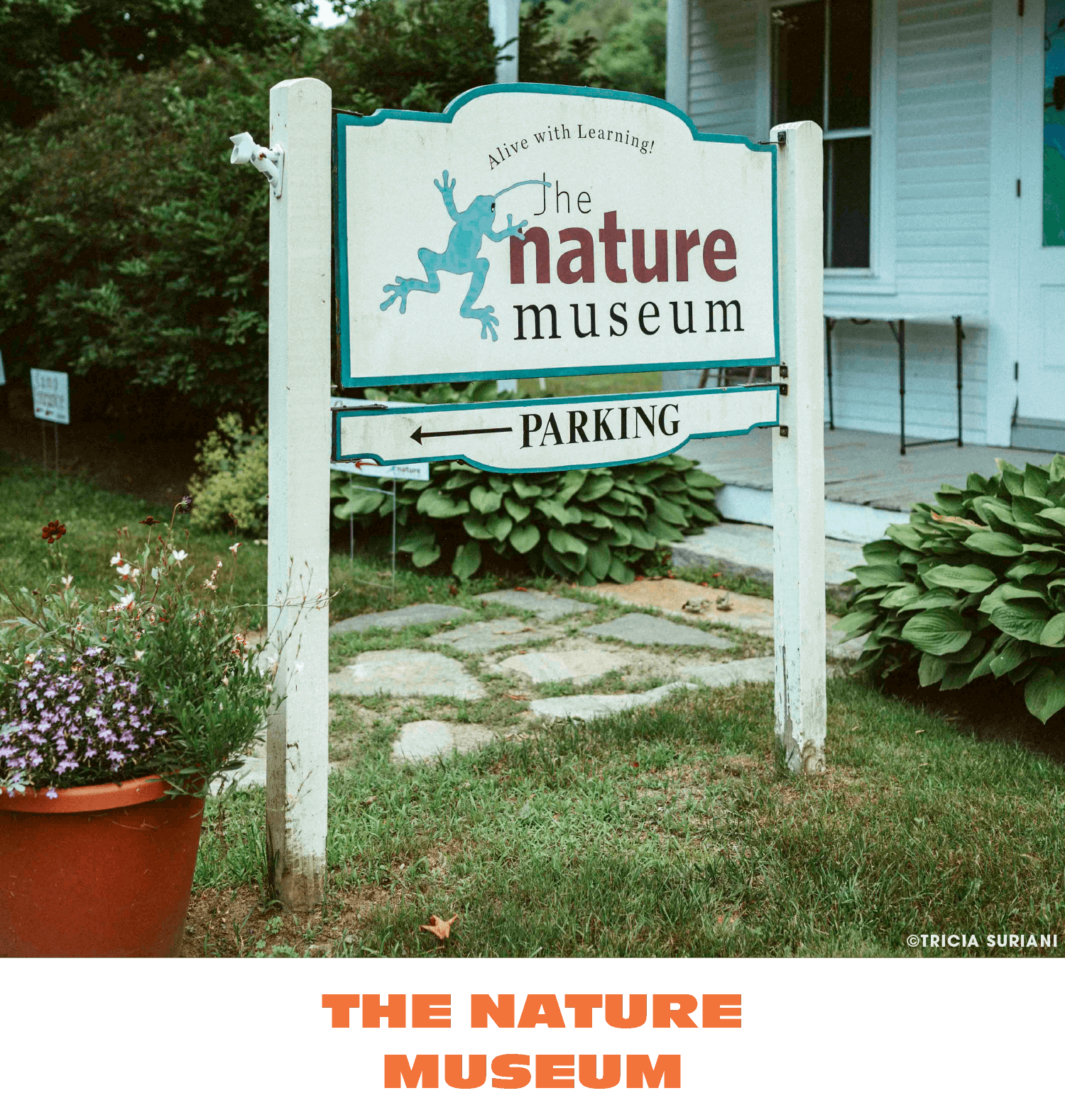 Sign for The Nature Museum with an arrow pointing left for parking. The sign features a blue frog illustration and the slogan 'Alive with Learning!'