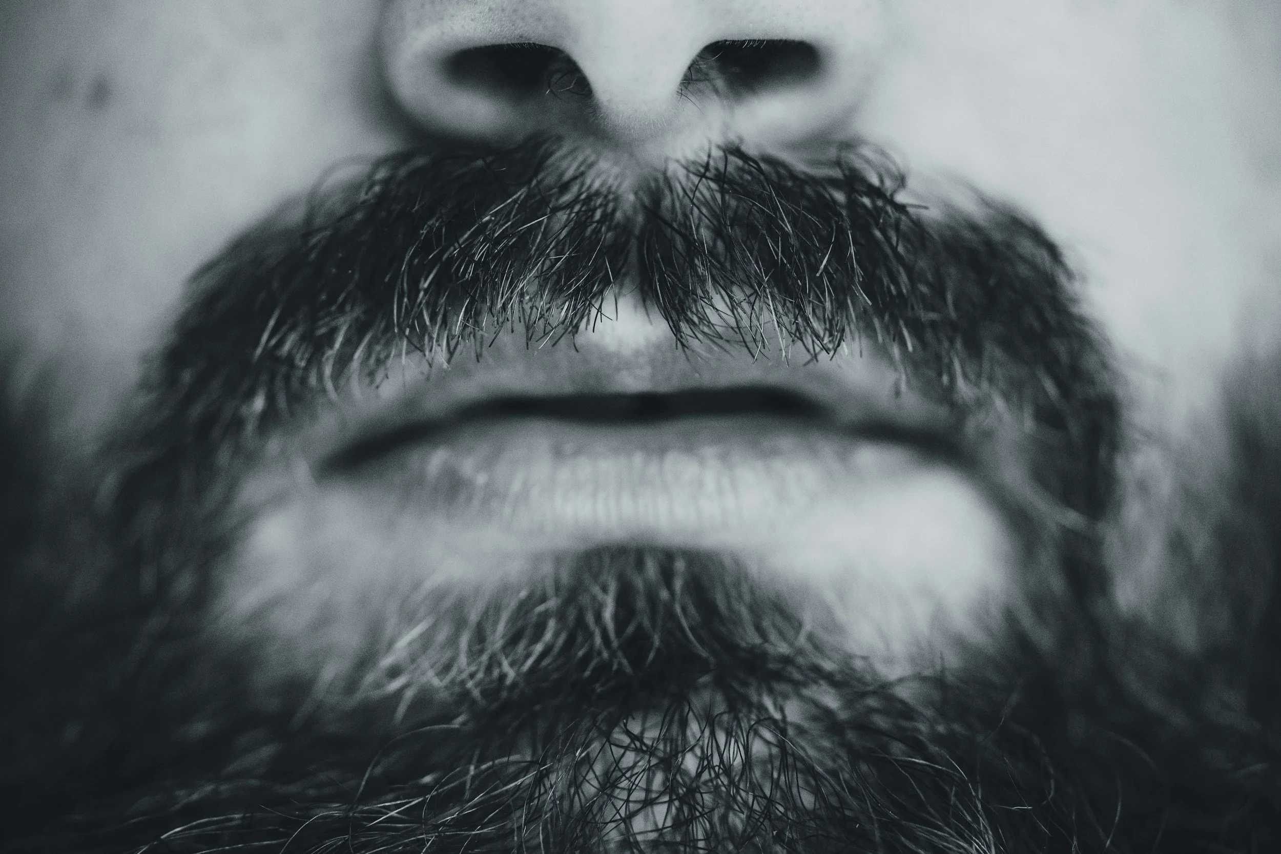 Beard Itch: How to Stop It and Keep Your Beard Comfortable in St. Pete