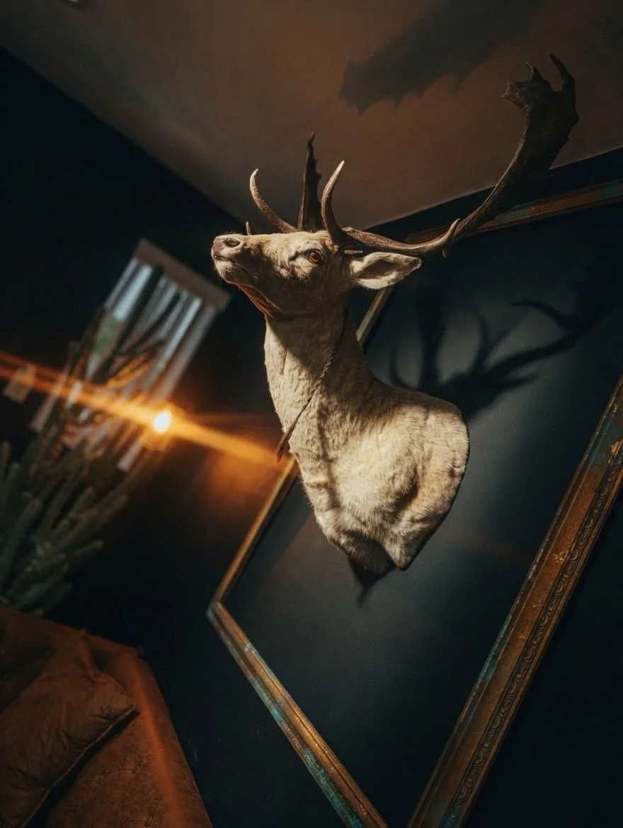 Every detail of the shop has been Intentional, Down to every last object on the walls. Everything you&rsquo;re seeing Has a story; one worth telling.

#ilovestpete #stpetersburgfl #tampabaybarber #clearwaterbarber #menshair