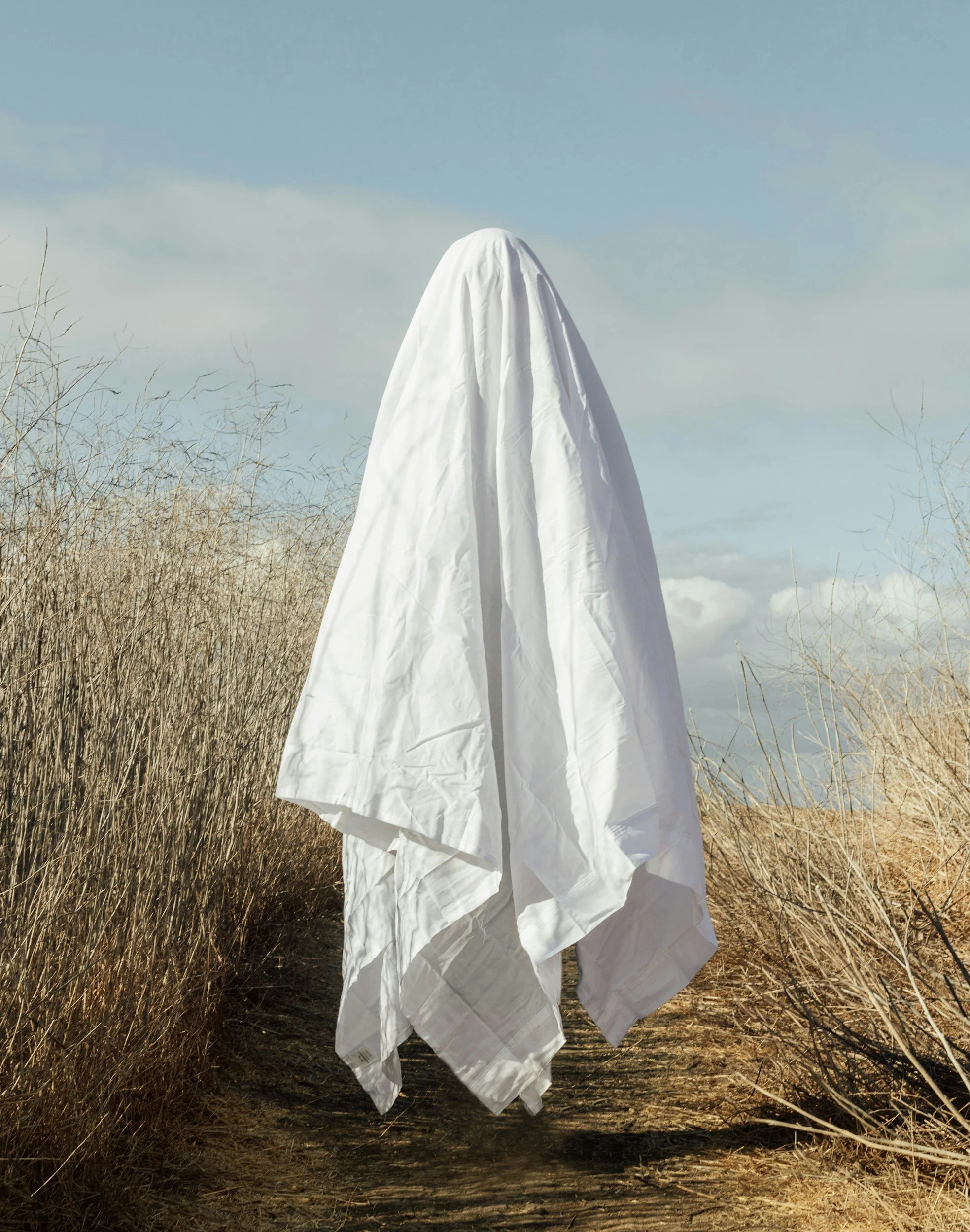 The Phantom Job Search, Part 1: How to Deal with Ghost Jobs and Ghosting Without Losing Your Spirit