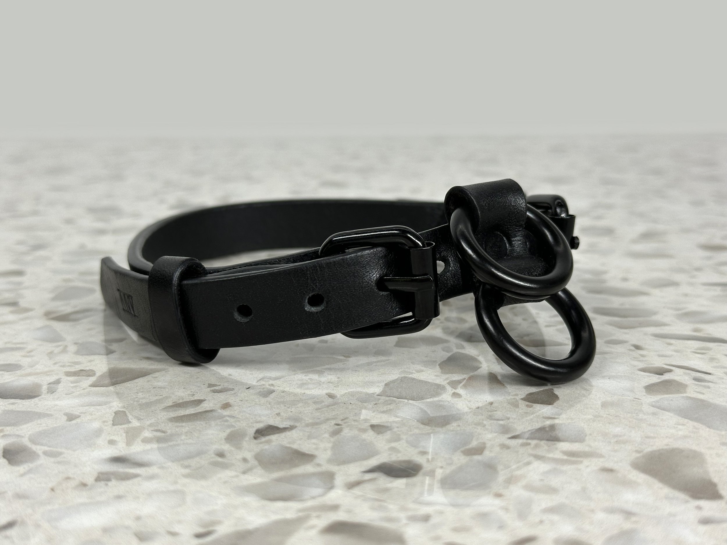 Atticus Ivy Atticus Ivy Teyr collar in black saddlery with solid brass hardware_right angle.jpg