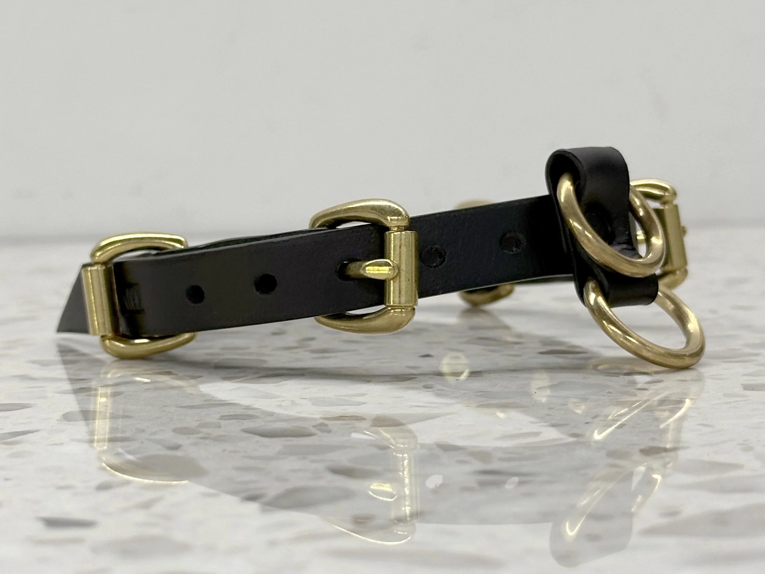 Teyr collar in black saddlery with solid brass hardware_low angle.jpg