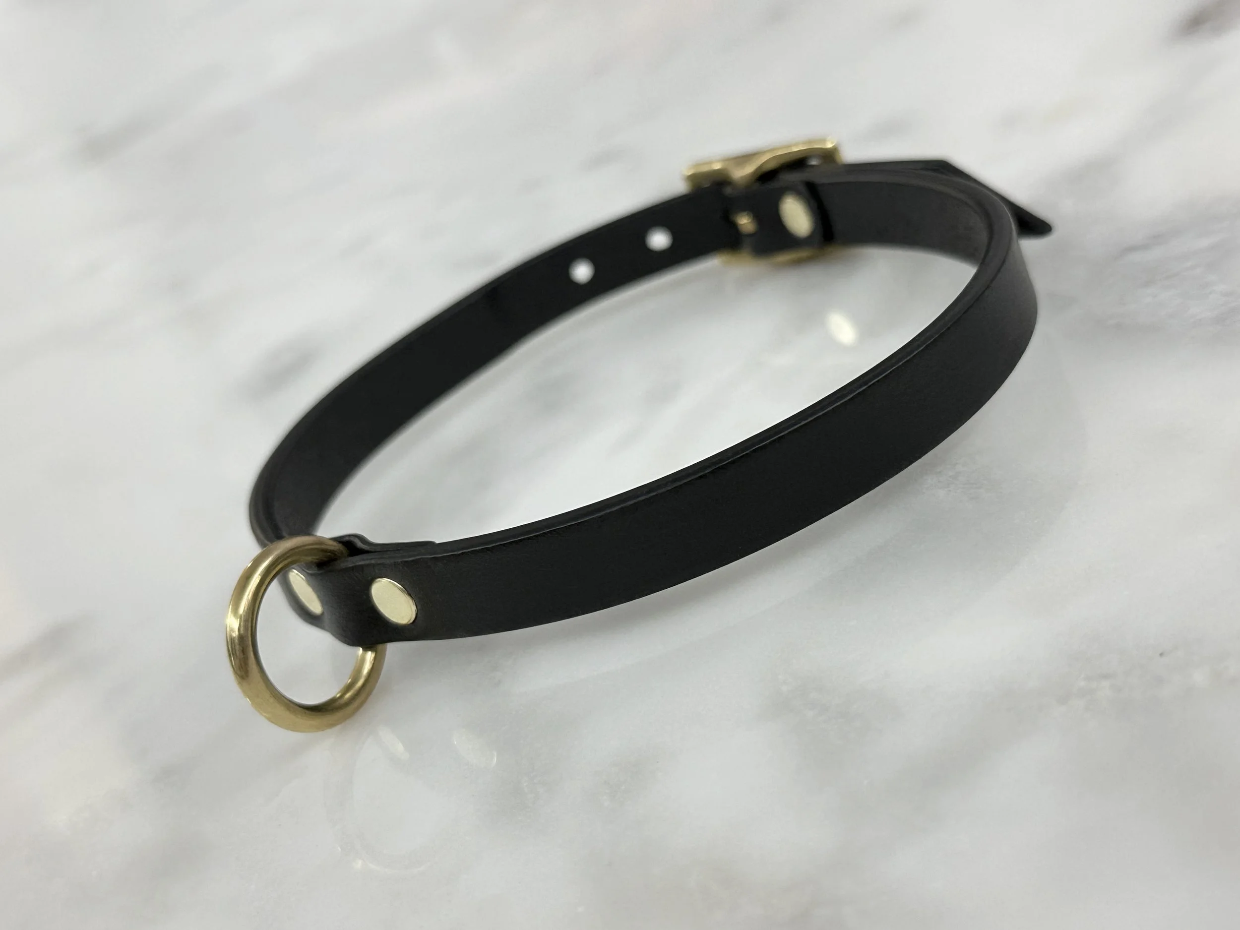 Atticus Ivy Saia black leather slim ring collar_right angle.jpg