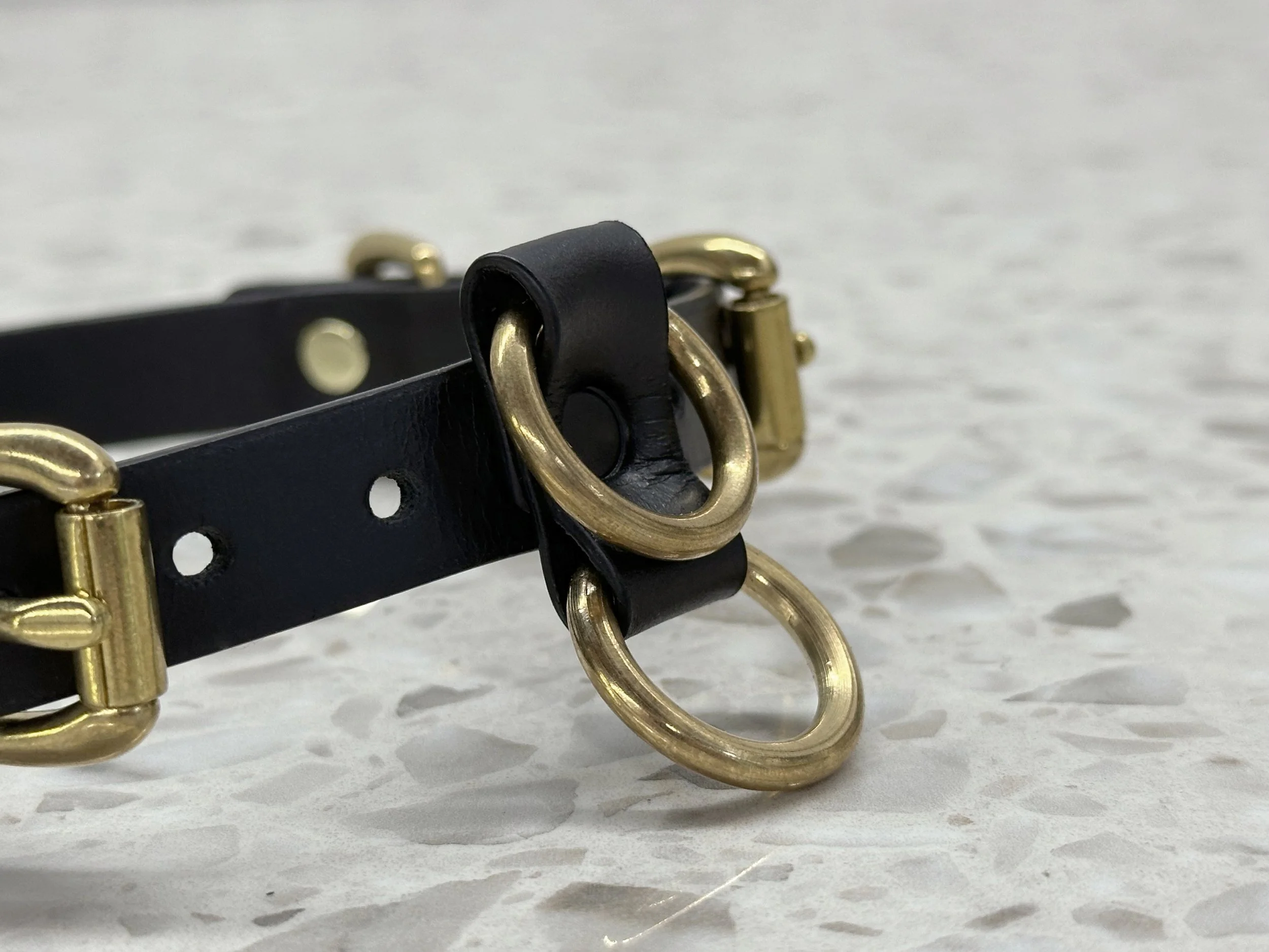 Teyr collar in black saddlery with solid brass hardware_front detail.jpg