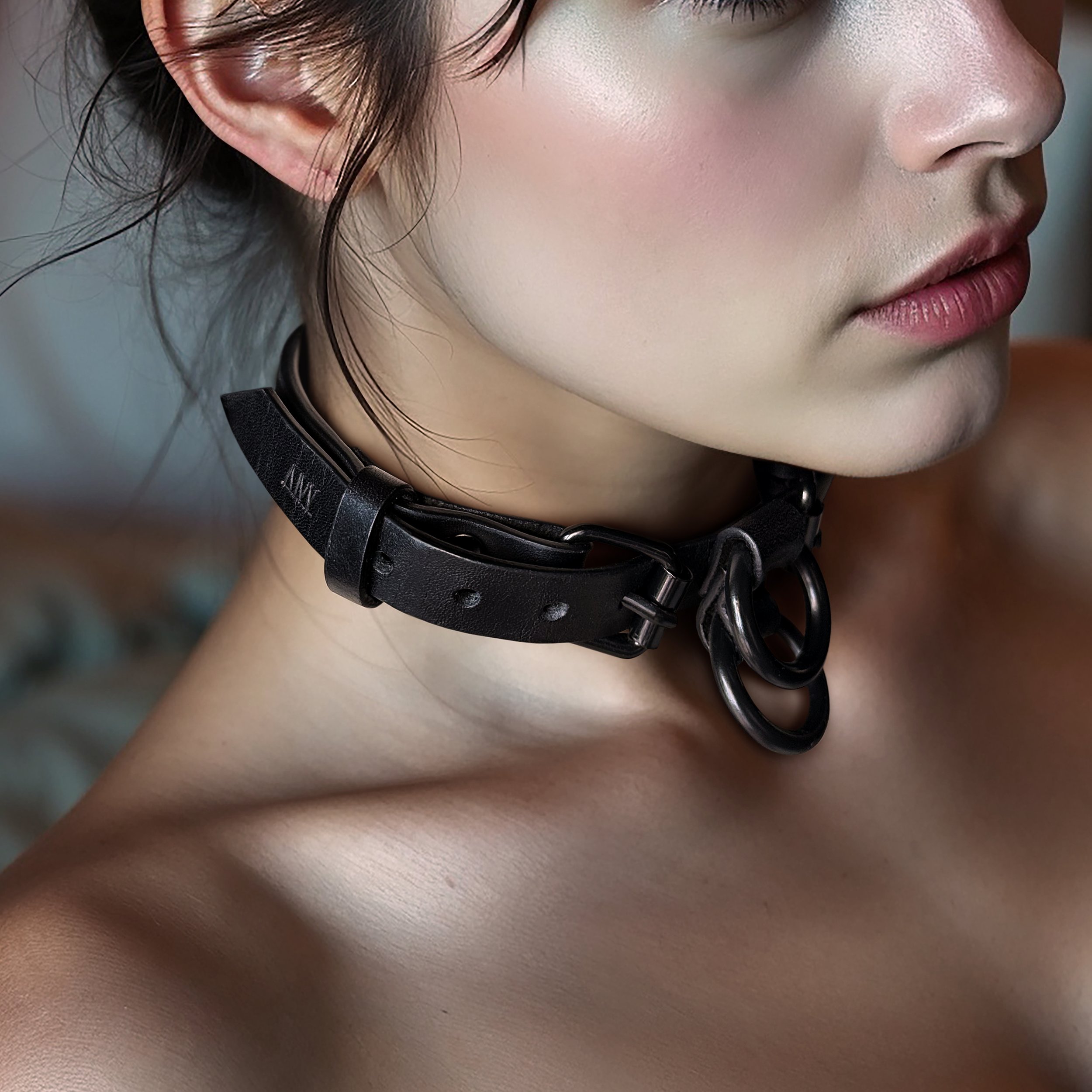 Atticus Ivy Teyr collar in black saddlery with solid brass hardware_jenny crop.jpg