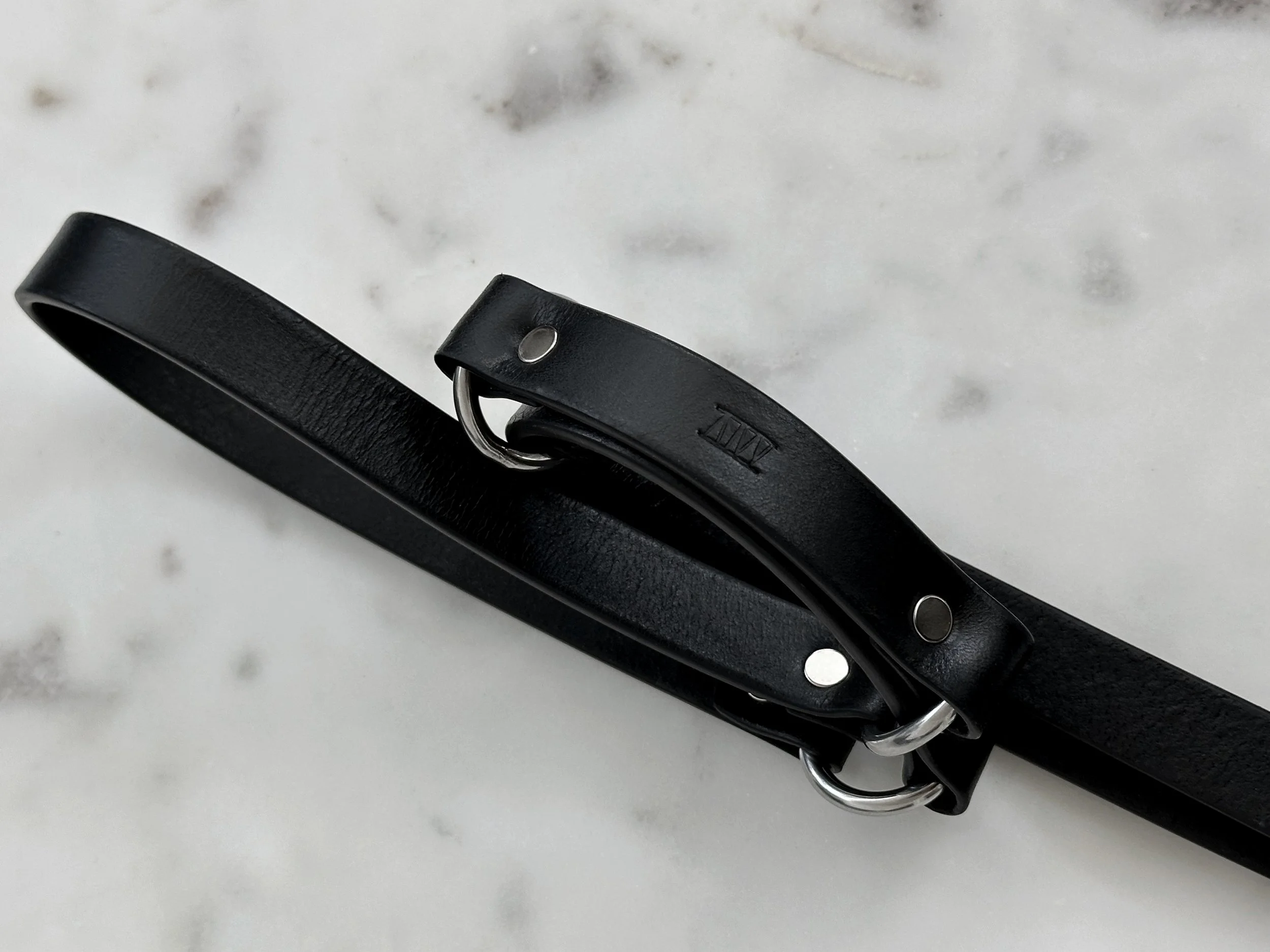 Atticus Ivy Lovisa leash in black leather with black and stainless steel_logo.jpg