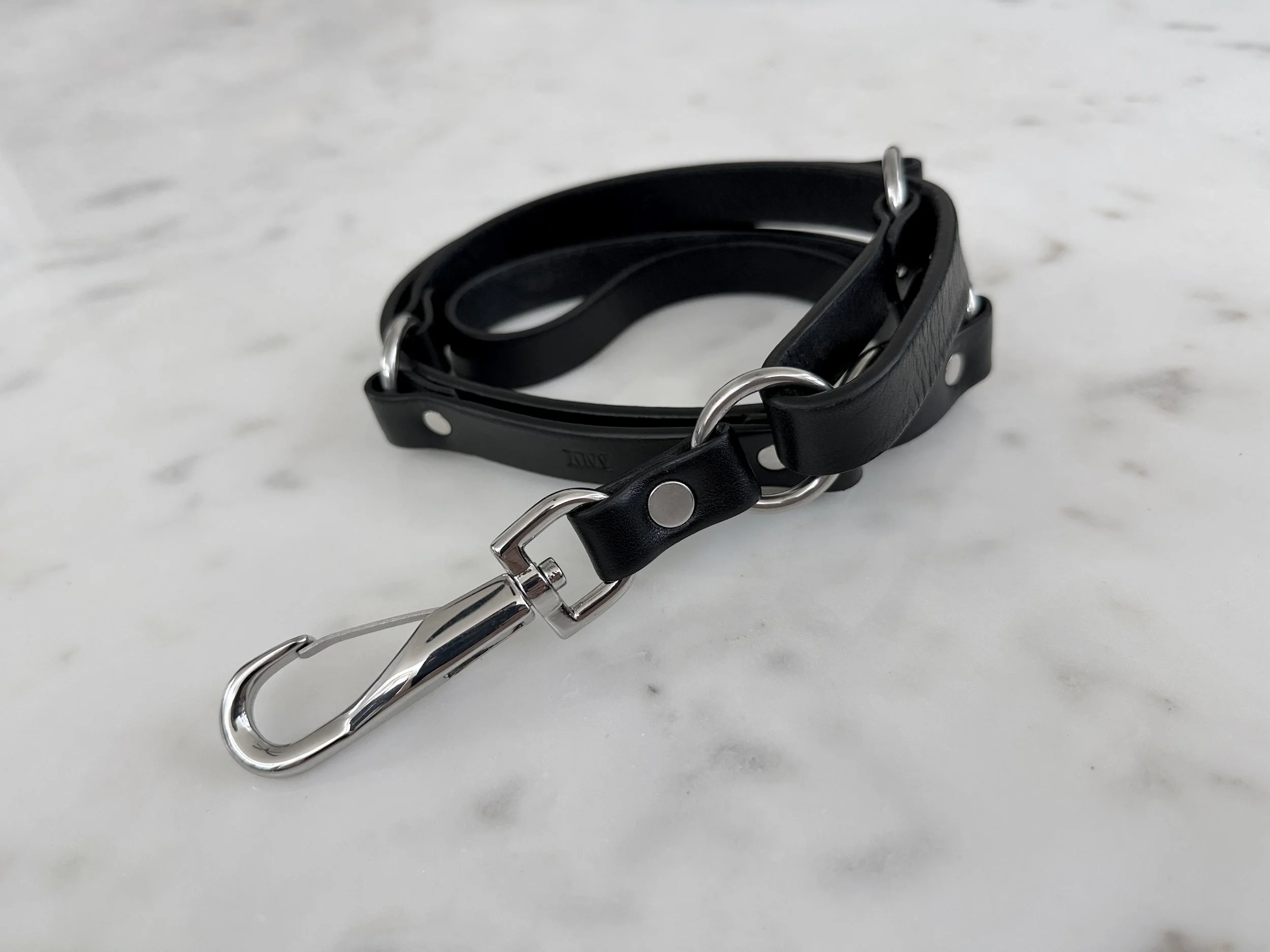 Atticus Ivy Lovisa leash in black leather with black and stainless steel_coil.jpg