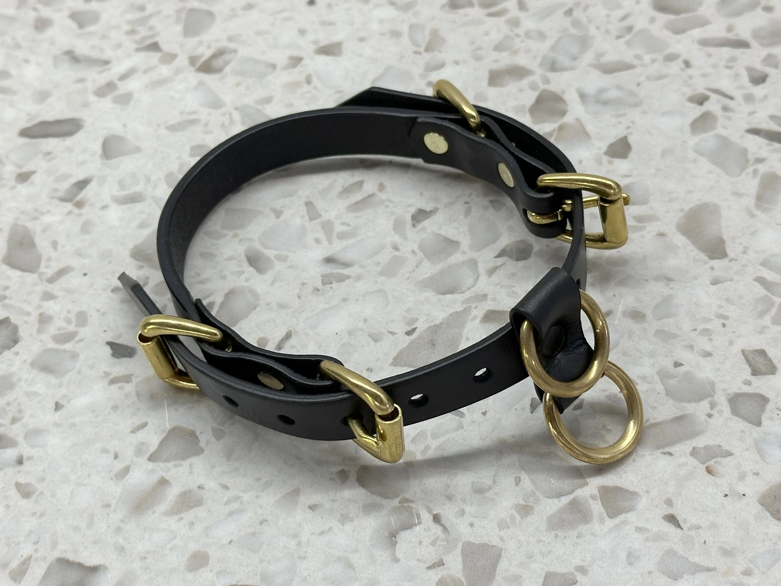 Teyr collar in black saddlery with solid brass hardware_top angle 2.jpg