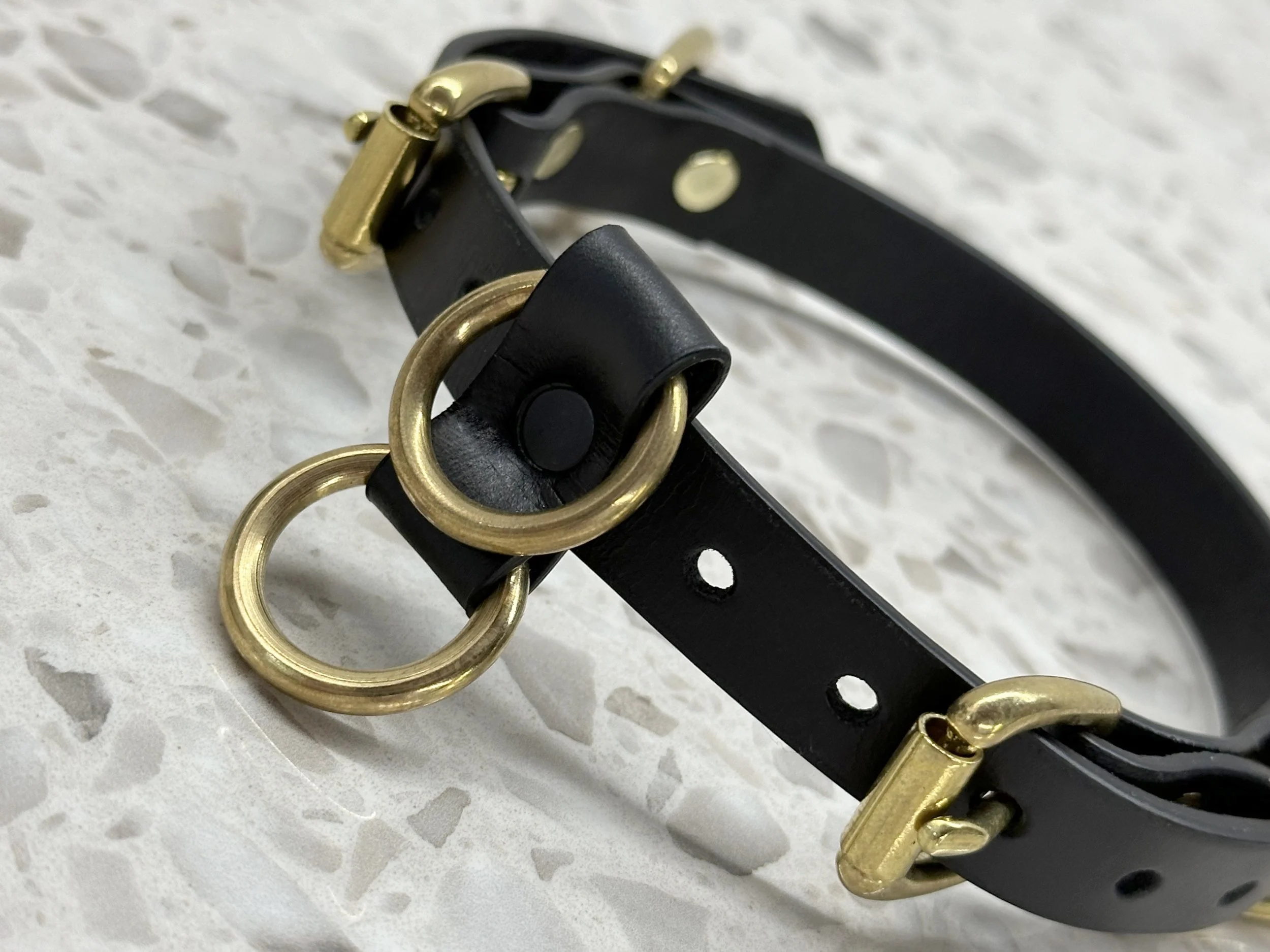 Teyr collar in black saddlery with solid brass hardware_right angle 2.jpg