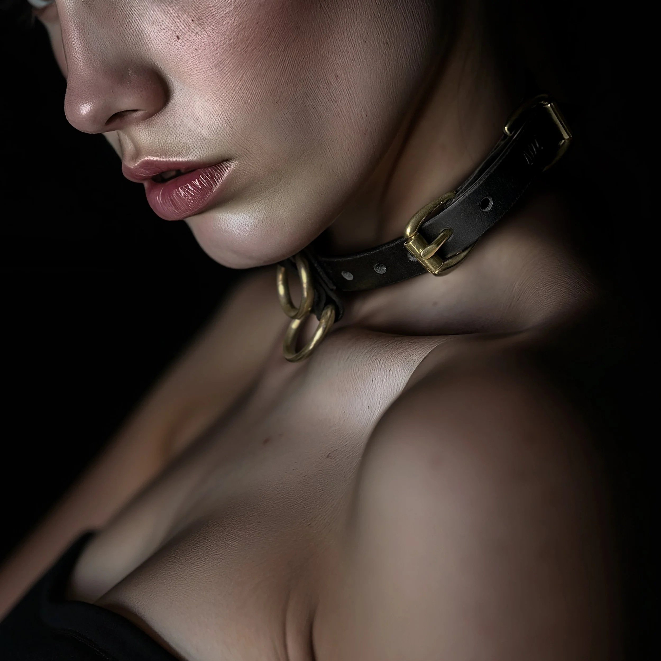 Teyr collar in black saddlery with solid brass hardware_Jolanda_crop.jpg