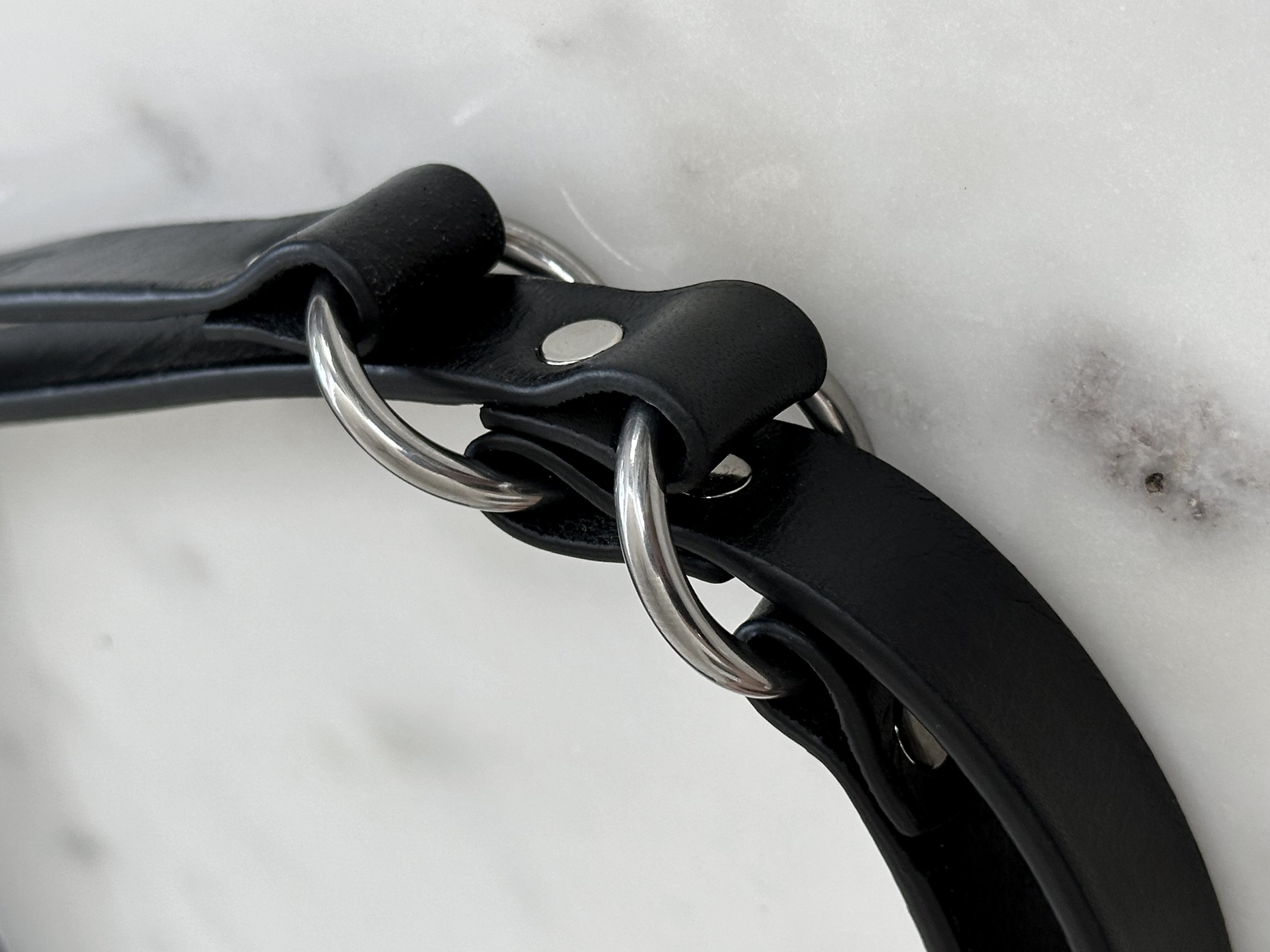 Atticus Ivy Lovisa leash in black leather with black and stainless steel_focus.jpg