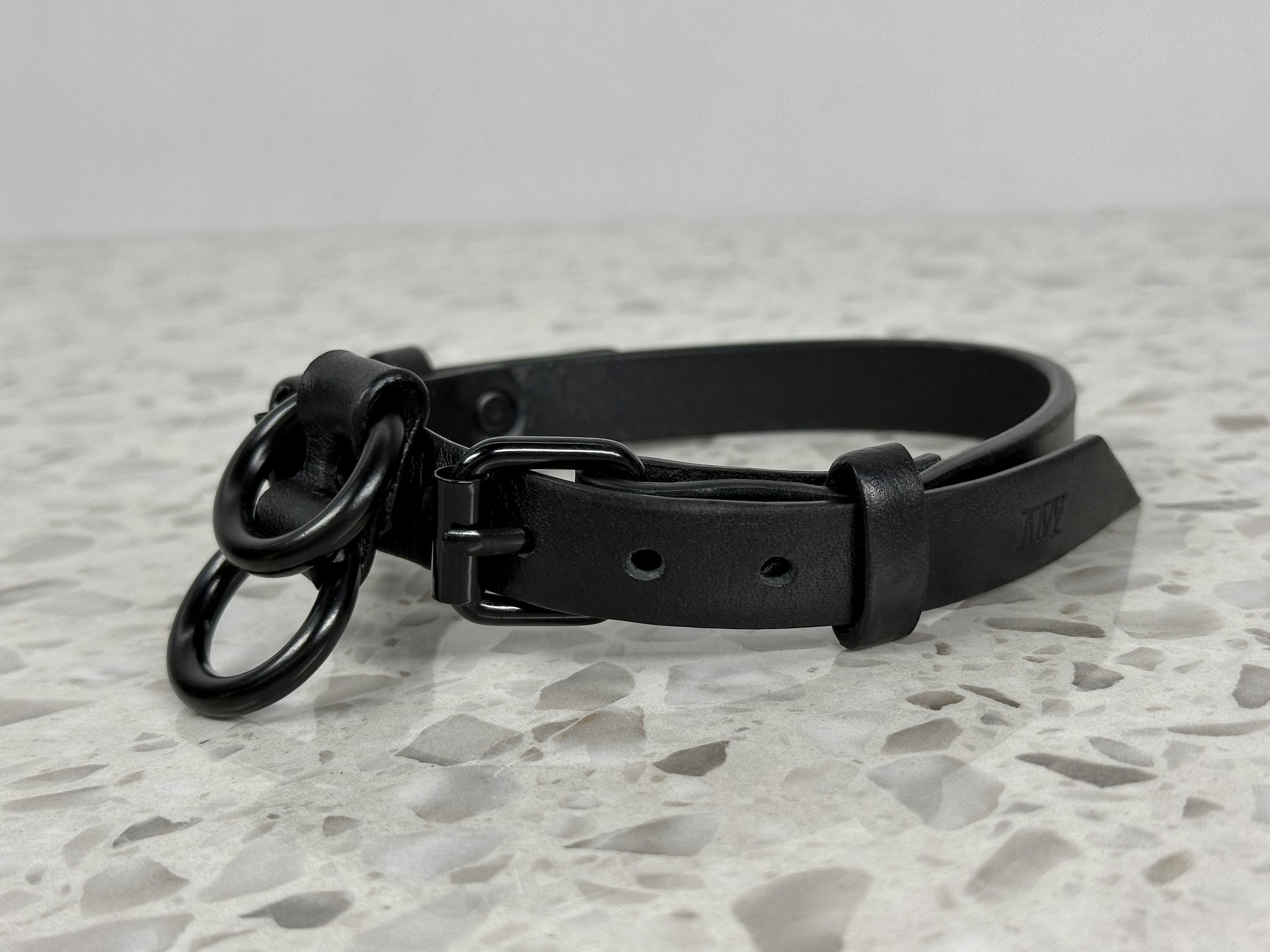 Atticus Ivy Teyr collar in black saddlery with solid brass hardware_3D.jpg
