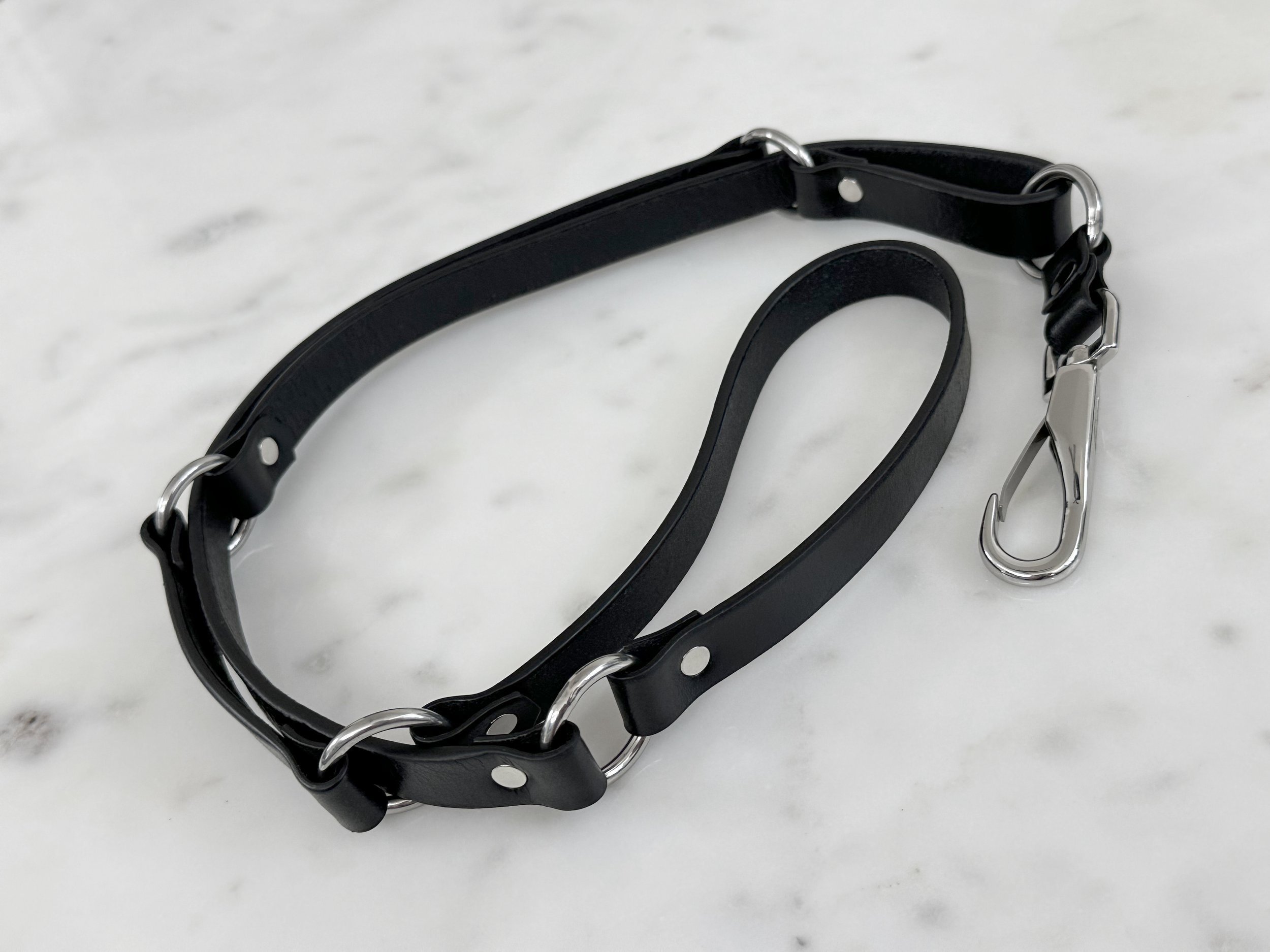 Atticus Ivy Lovisa leash in black leather with black and stainless steel_loop.jpg