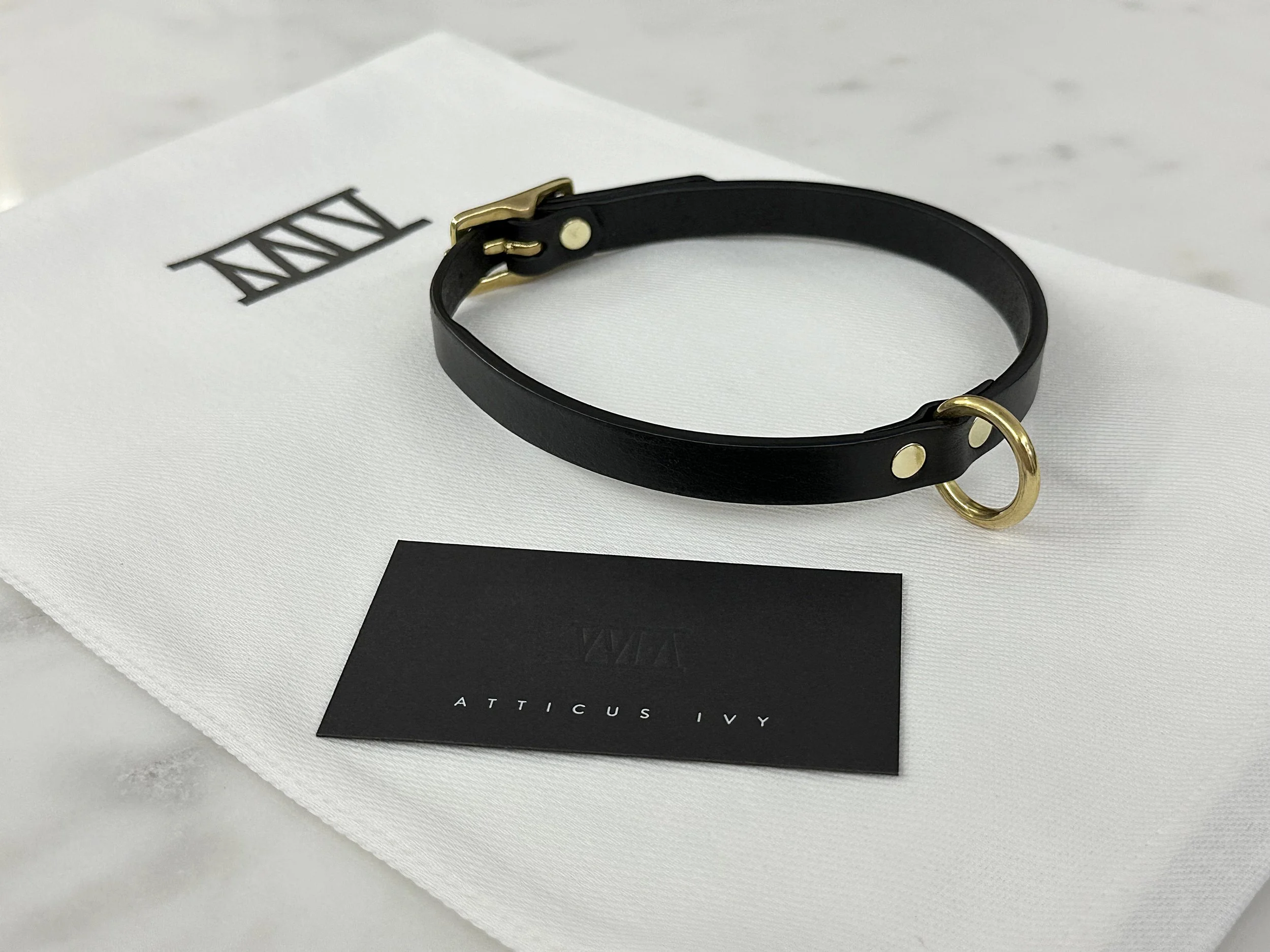 Atticus Ivy Saia black leather slim ring collar_with bag.jpg