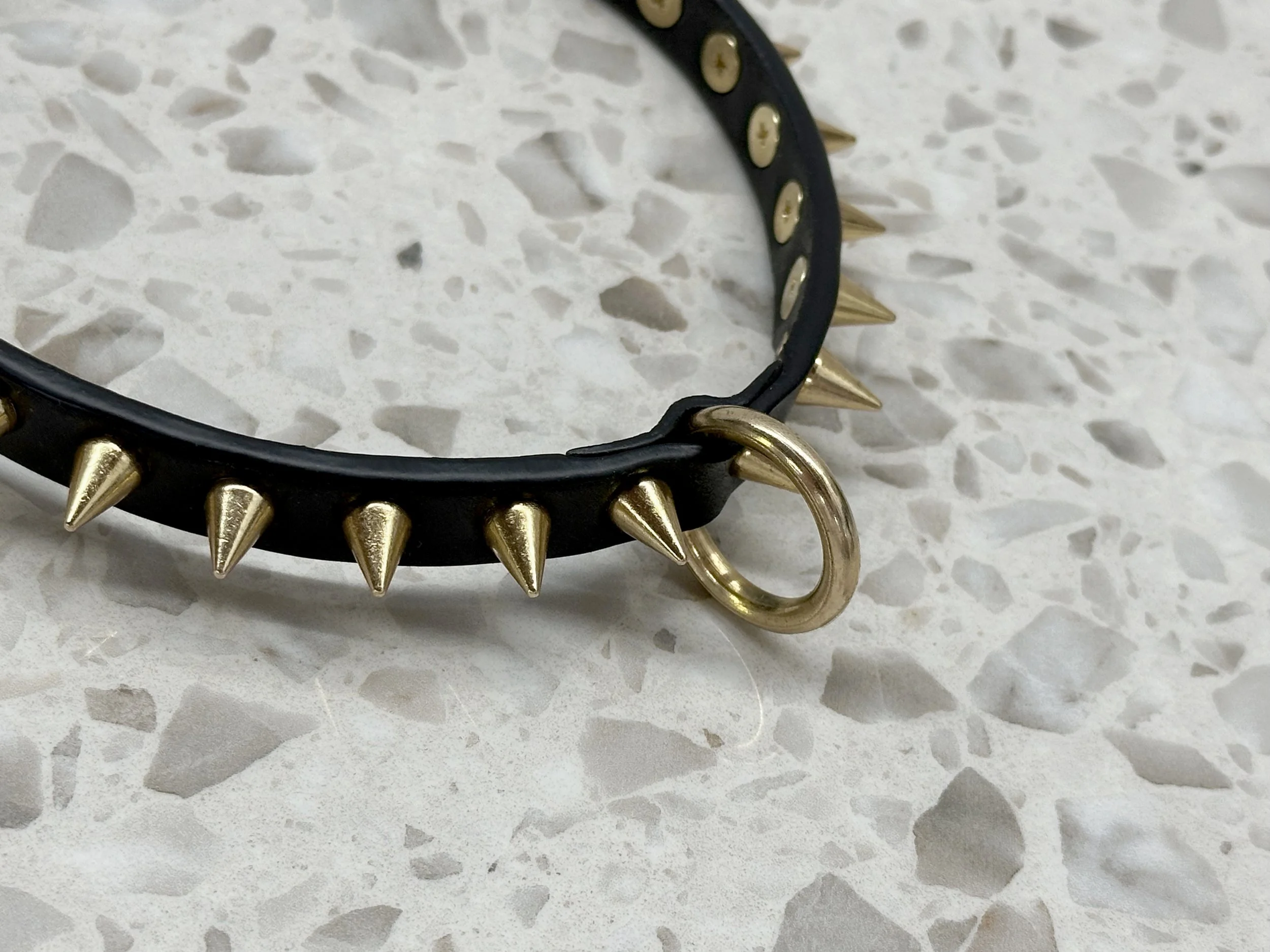Atticus Ivy Syna black leather spike and ring collar_detail front copy.jpg