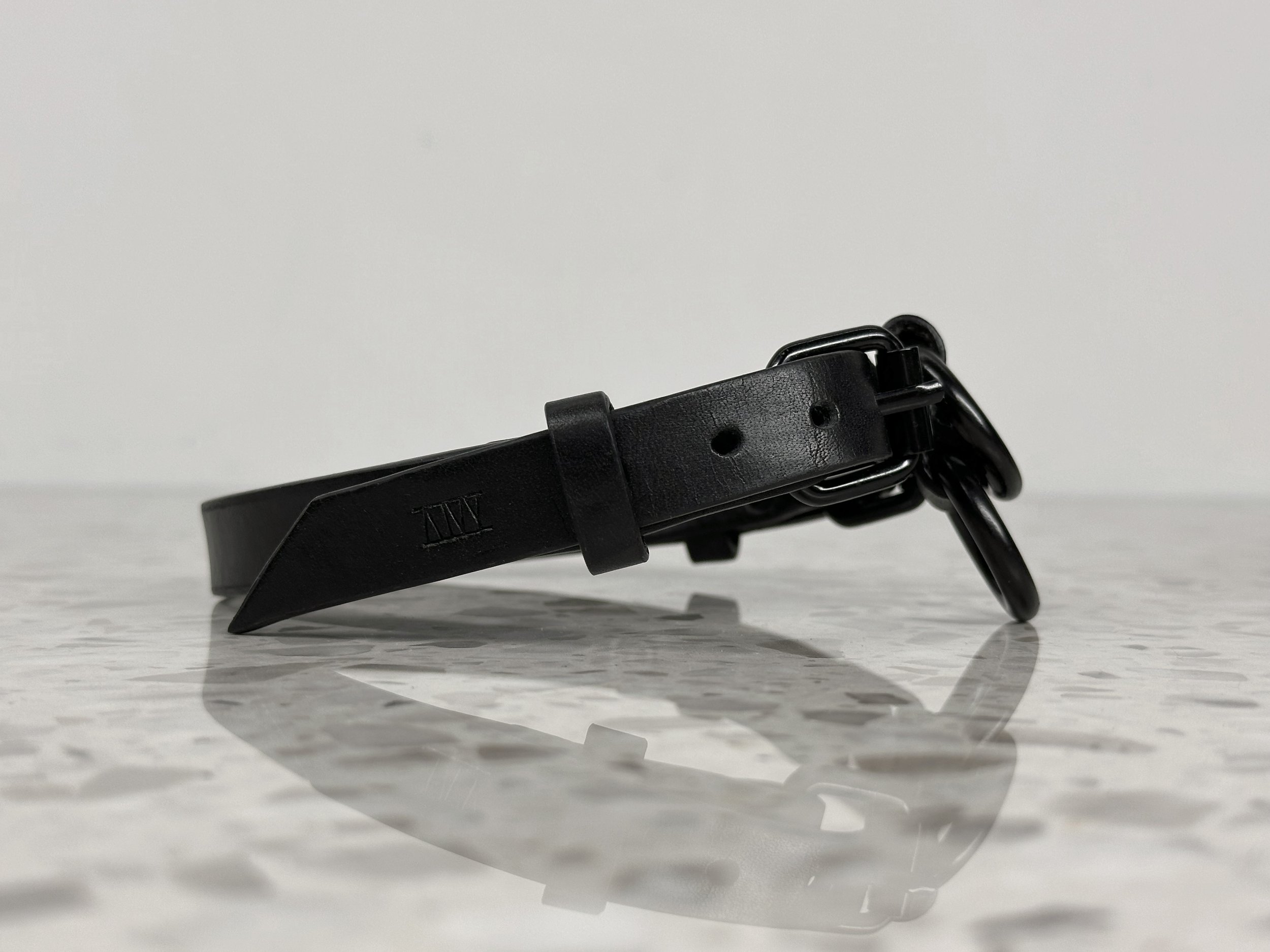 Atticus Ivy Teyr collar in black saddlery with solid brass hardware_side view.jpg