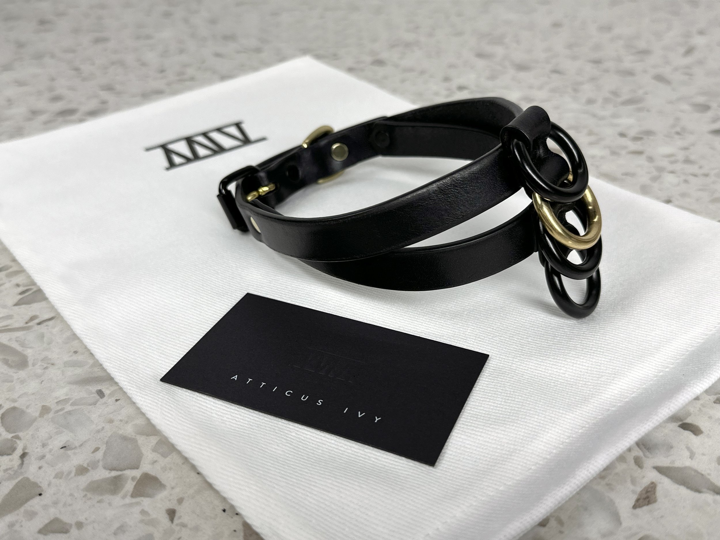 Atticus Ivy Yvra multi ring black leather collar_front left_on bag.jpg