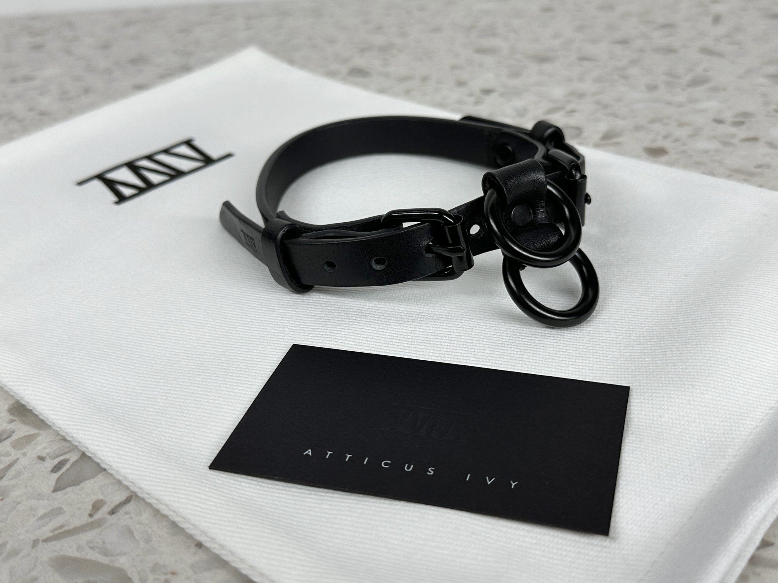 Atticus Ivy Atticus Ivy Teyr collar in black saddlery with solid brass hardware_with bag.jpg