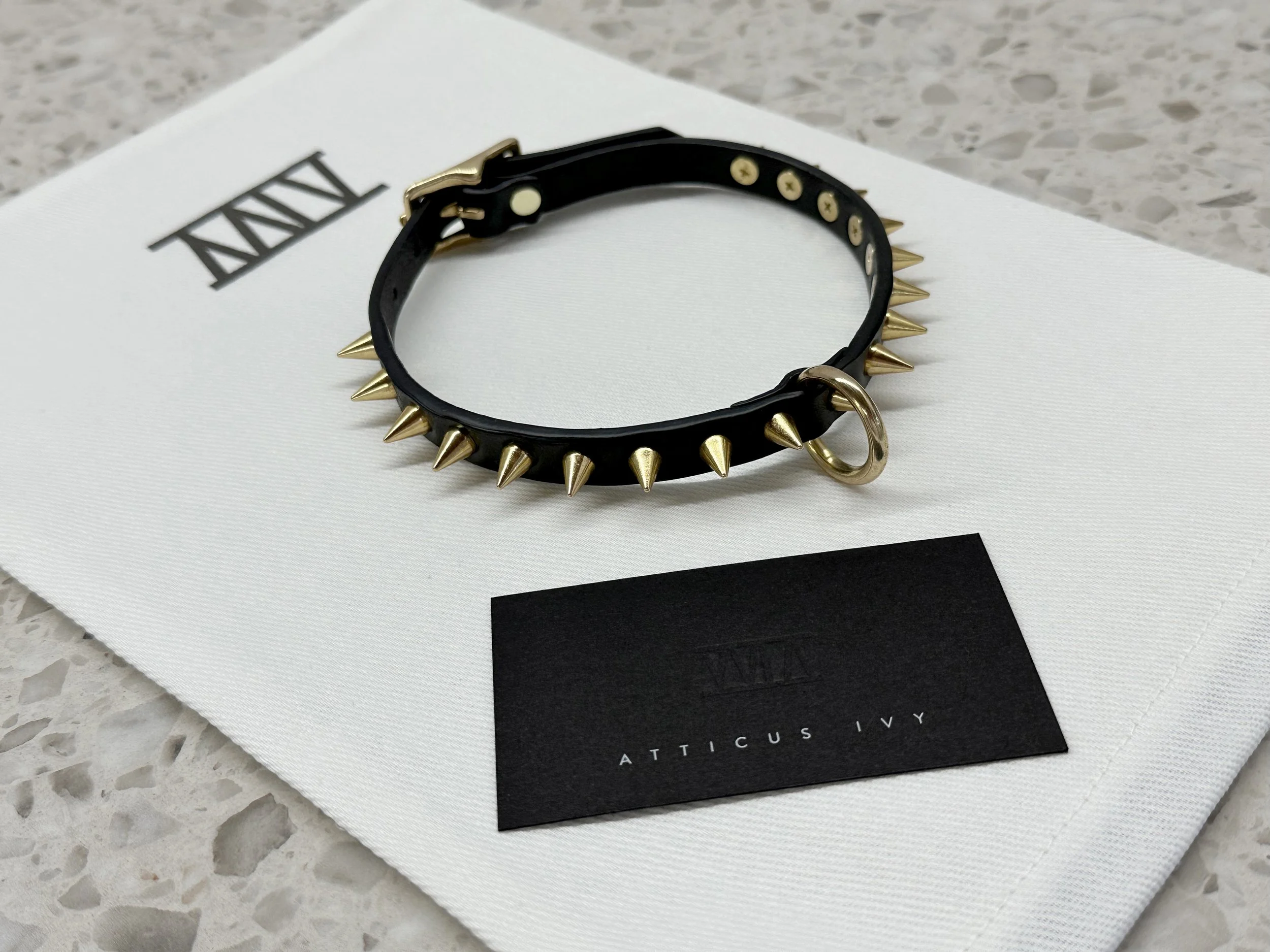 Atticus Ivy Syna black leather spike and ring collar_with bag.jpg