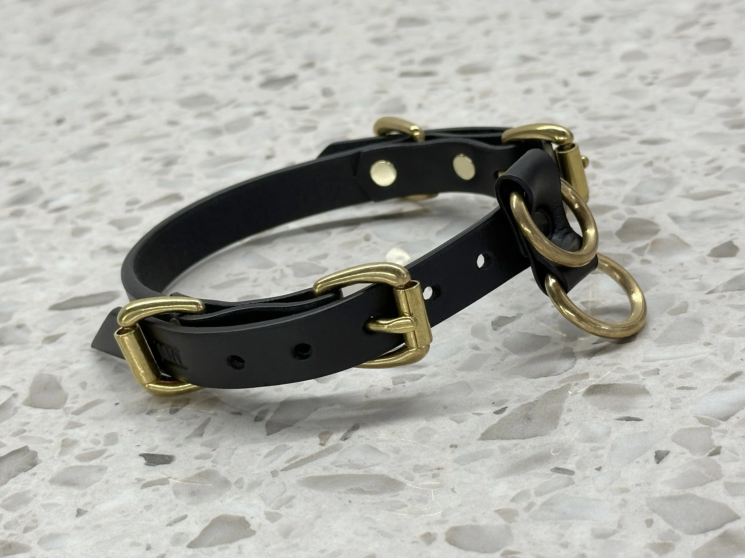 Teyr collar in black saddlery with solid brass hardware_front angle 2.jpg
