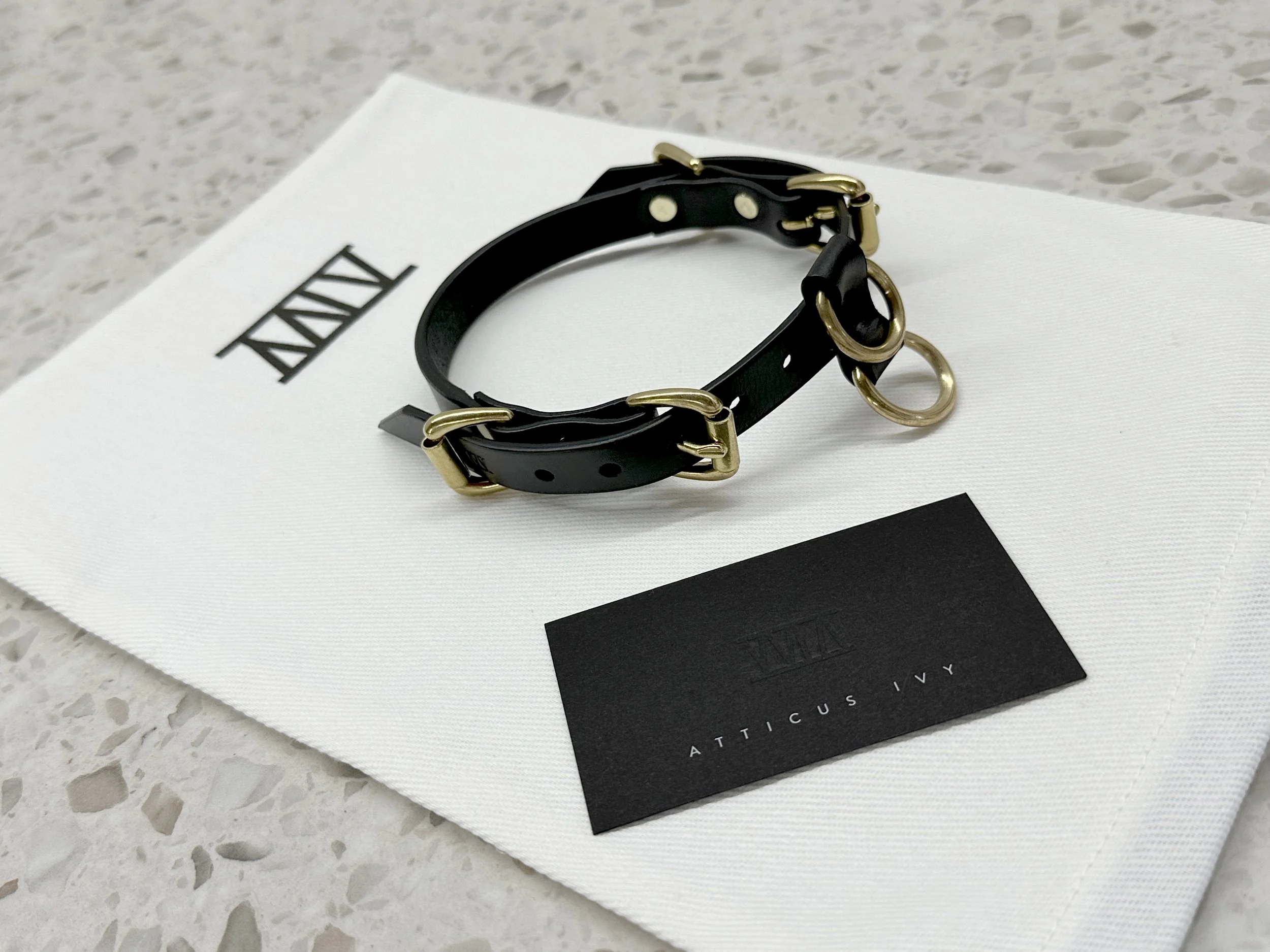 Teyr collar in black saddlery with solid brass hardware_with bag.jpg