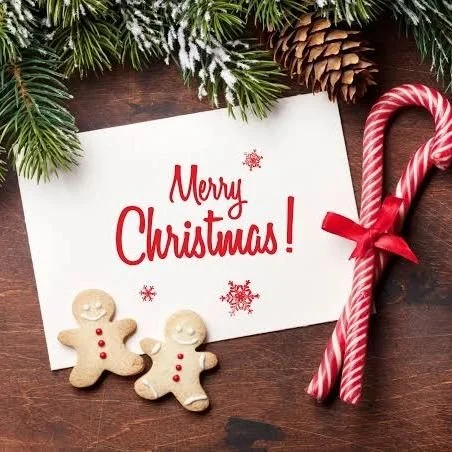 Merry Christmas Everyone

May this season be full of light and laughter for you and your family.

#lucknow #uttarpradesh #clinic #doctor #ashiyanalucknow #christmas #december