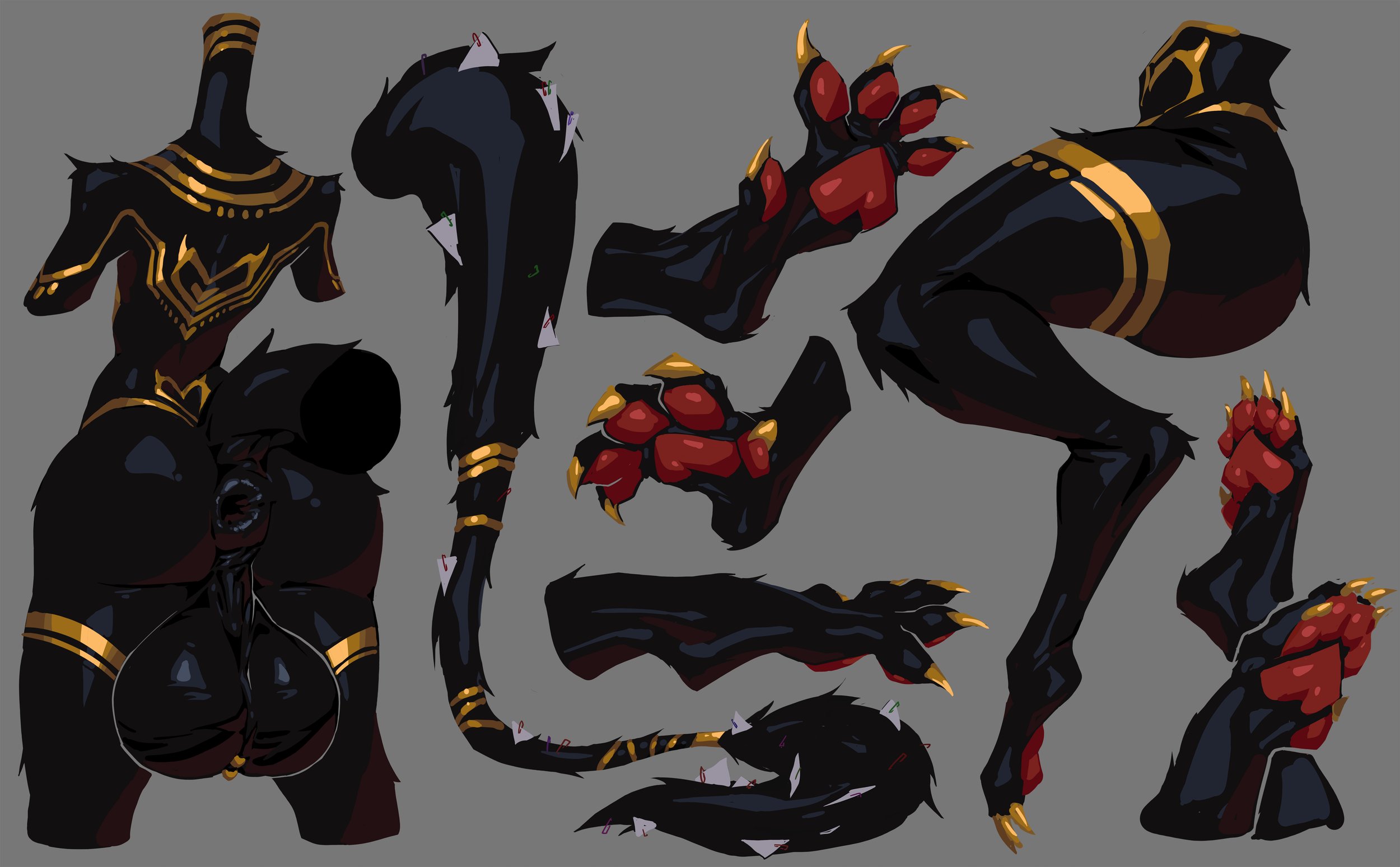 dog body.jpg