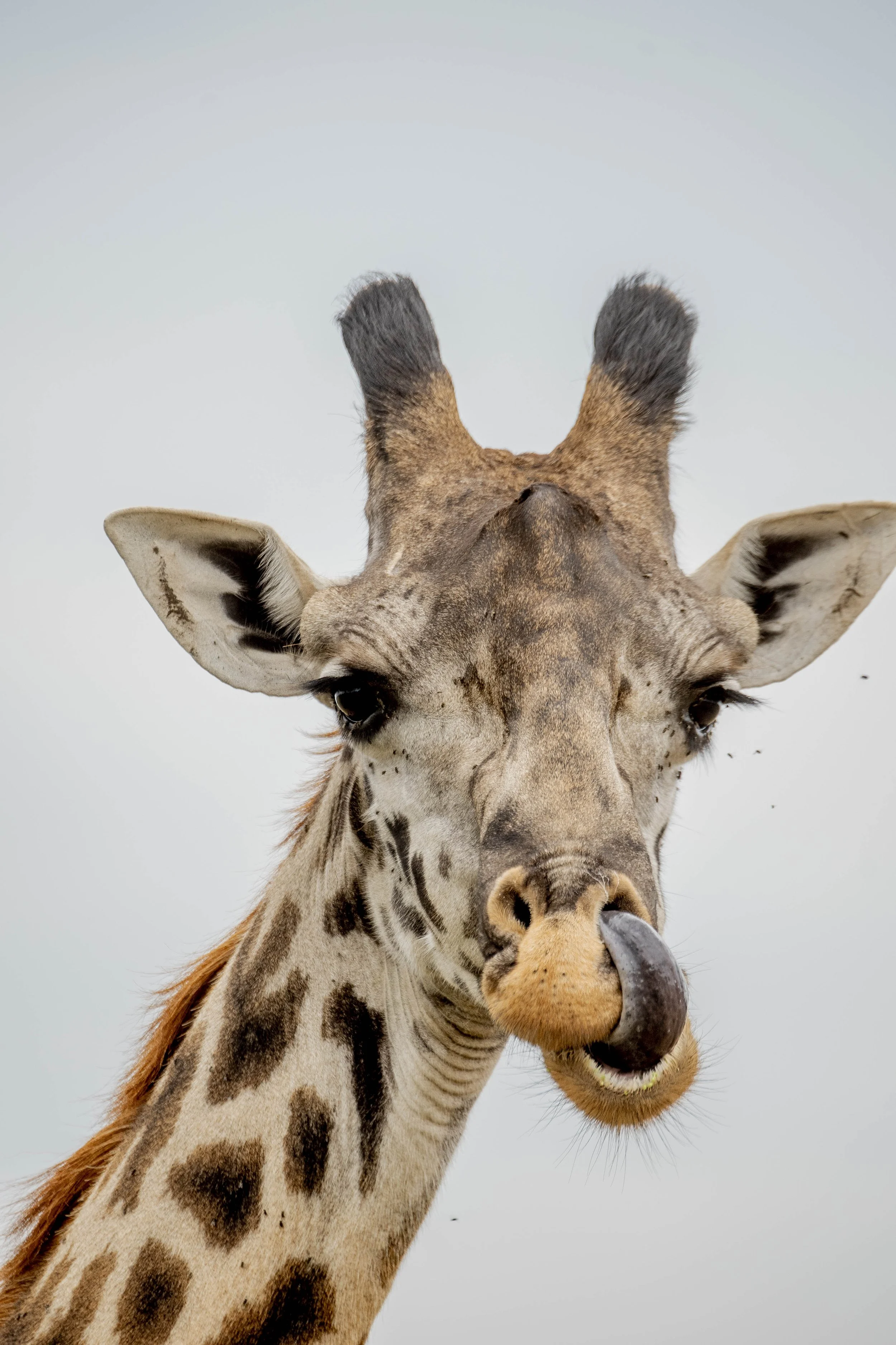 GUIDED TZ DAY 3_106.JPG