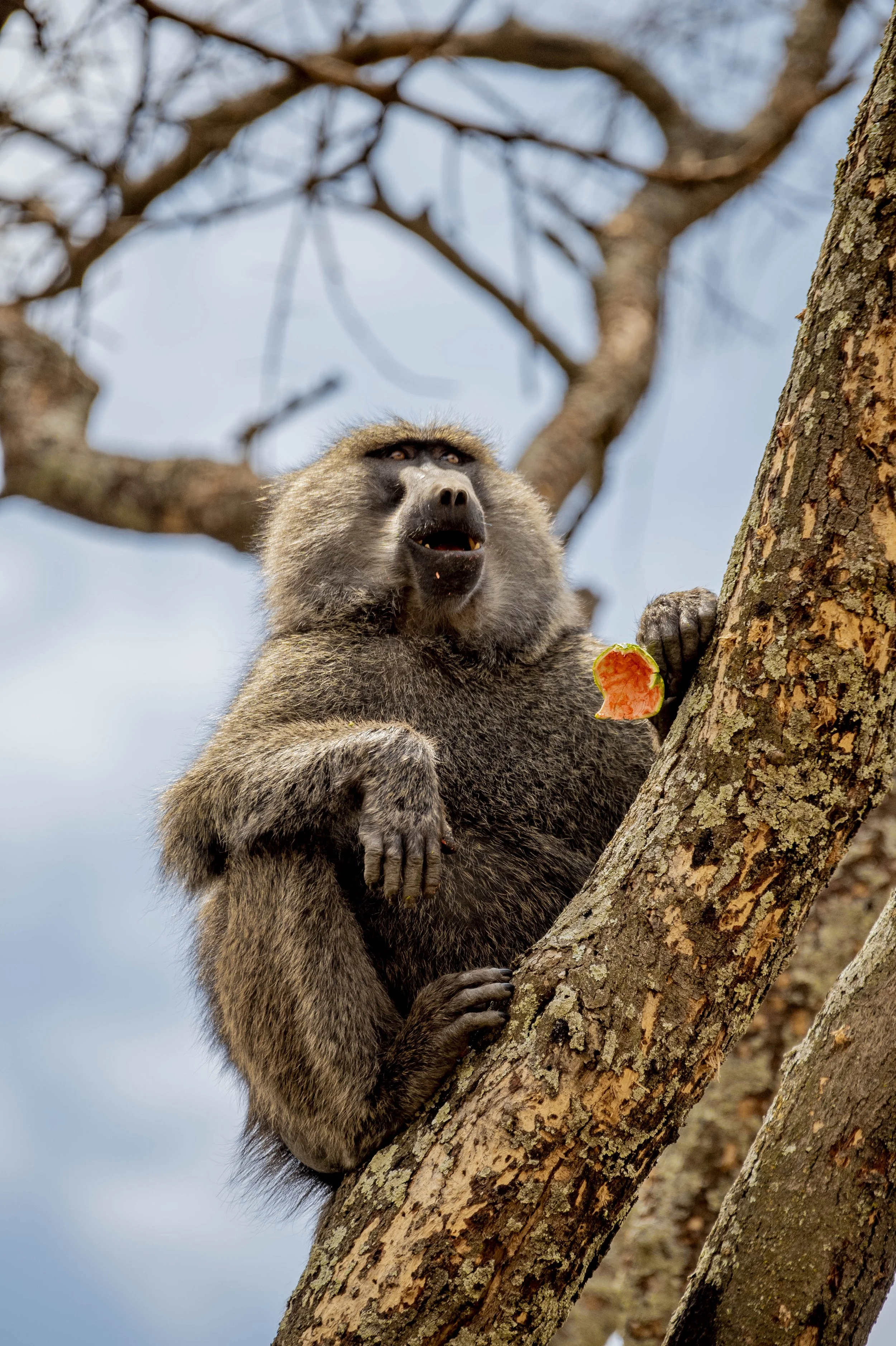 GUIDED TZ DAY 4_164.JPG