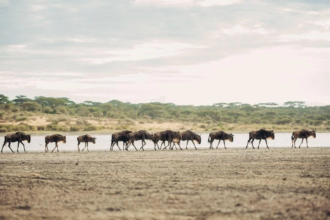 WhatsApp Image 2026-02-25 at 22.46.13 (3).jpeg