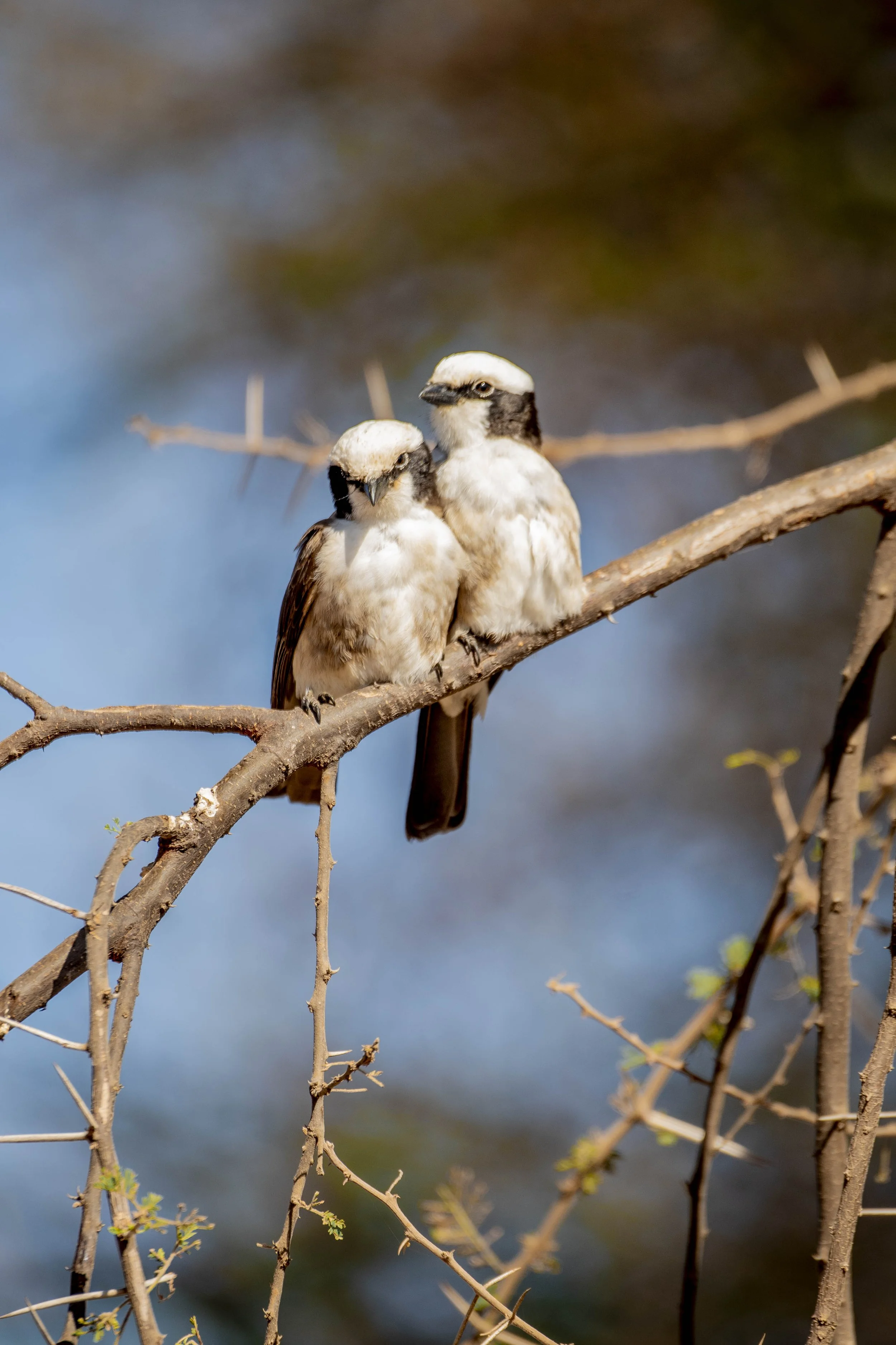 GUIDED TZ DAY 7_8_50.JPG