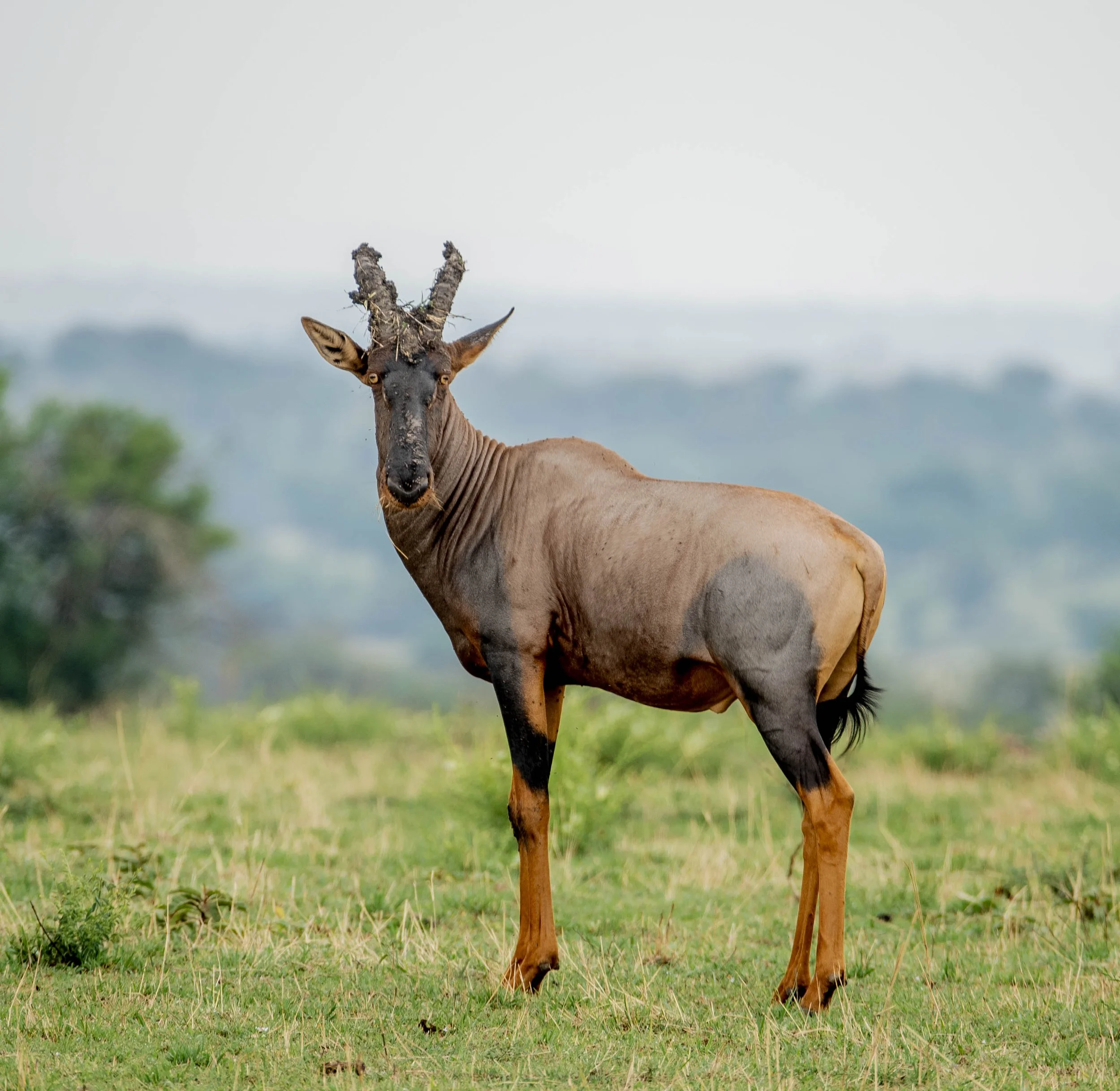 GUIDED TZ DAY 3_178.JPG