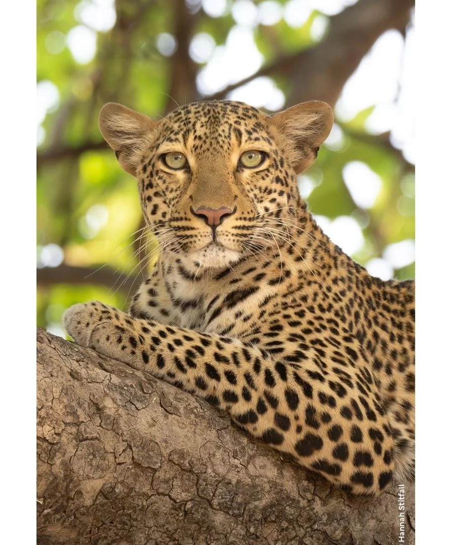 WhatsApp Image 2026-02-25 at 22.46.13.jpeg