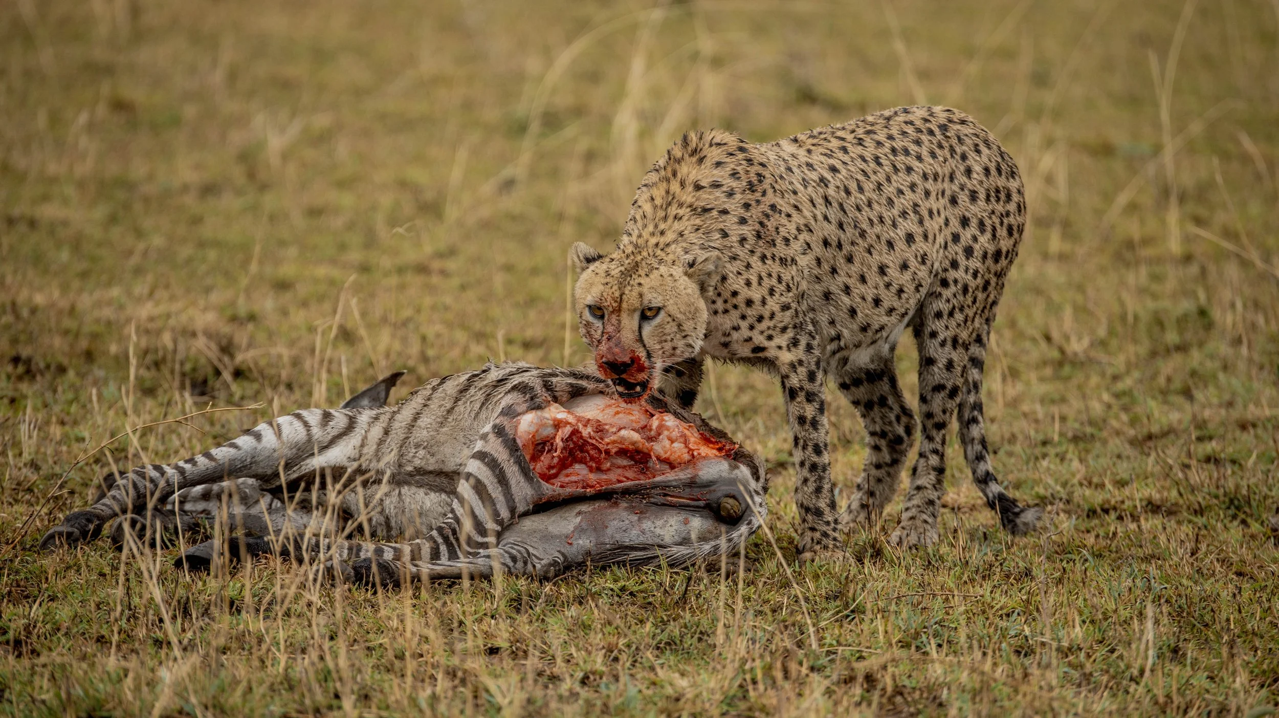 GUIDED TZ DAY 3_328.JPG