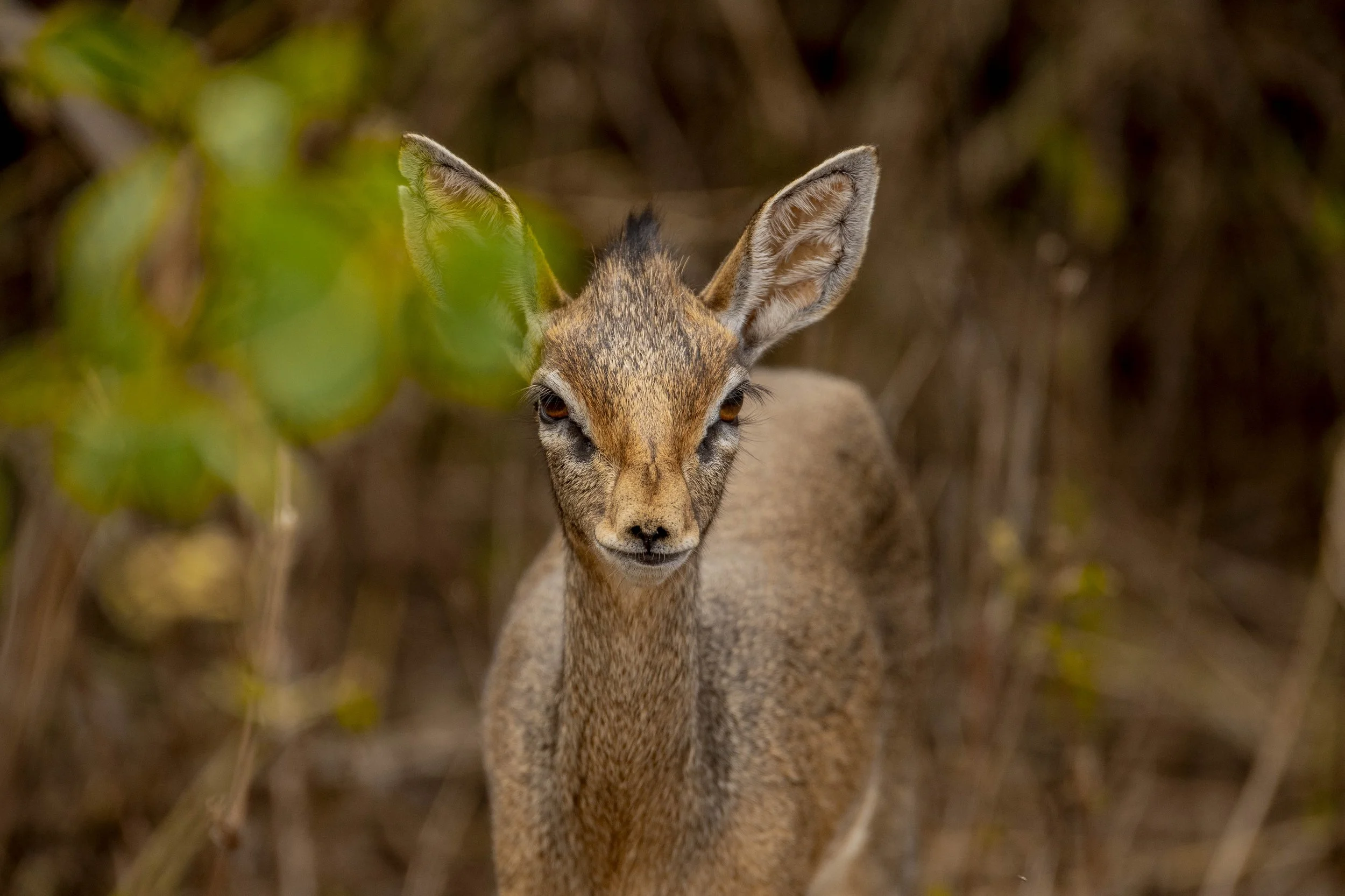 GUIDED TZ DAY 4_66.JPG