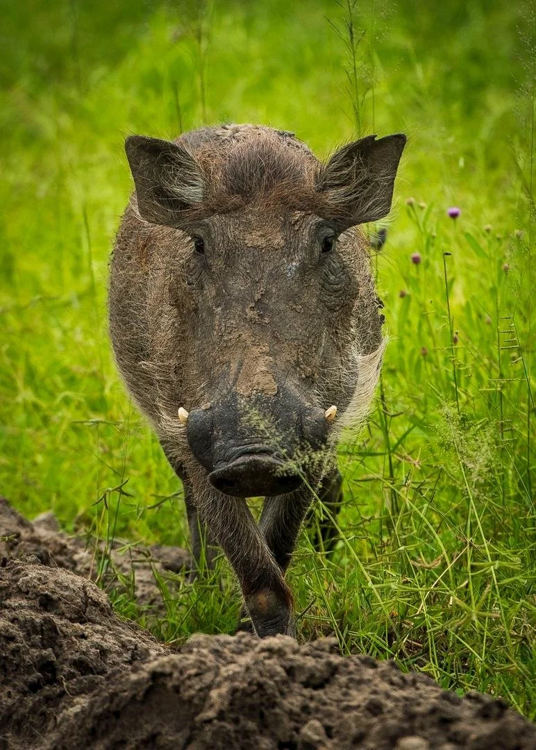 WhatsApp Image 2026-02-25 at 22.46.14 (5).jpeg