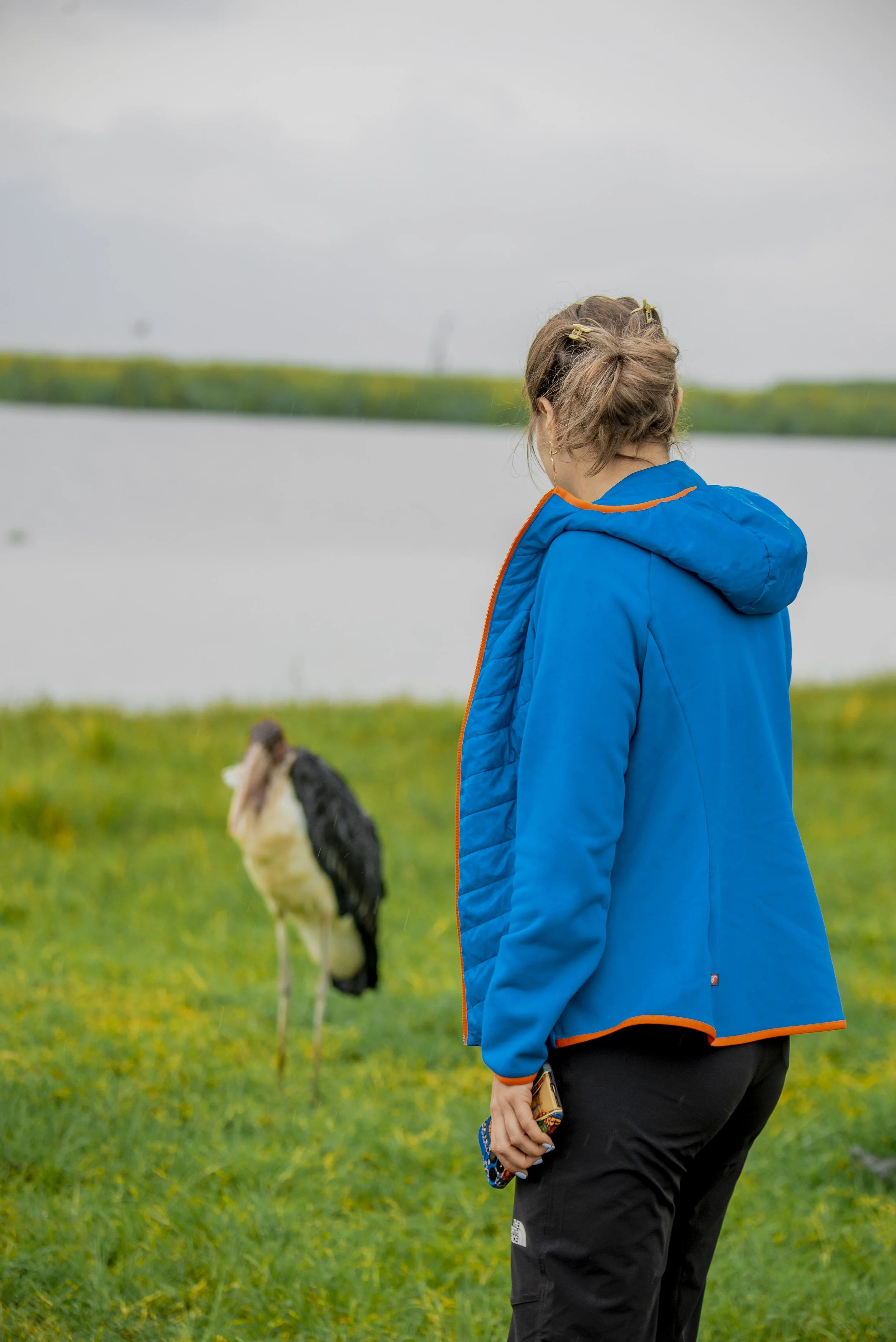 A woman with brown hair in a blue jacket standing near a body of water and looking at a stork with a black and white body.