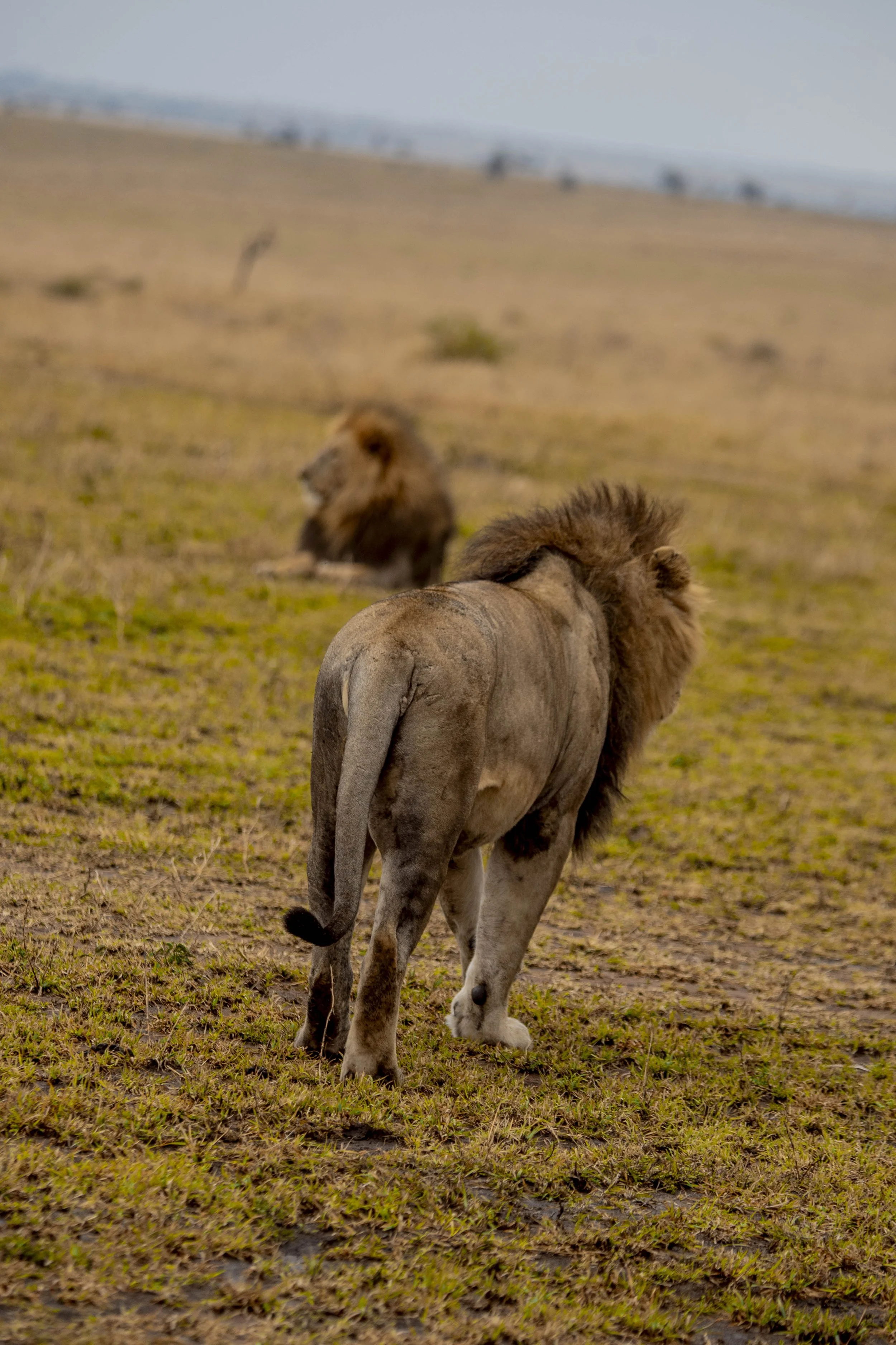 GUIDED TZ DAY 3_294.JPG