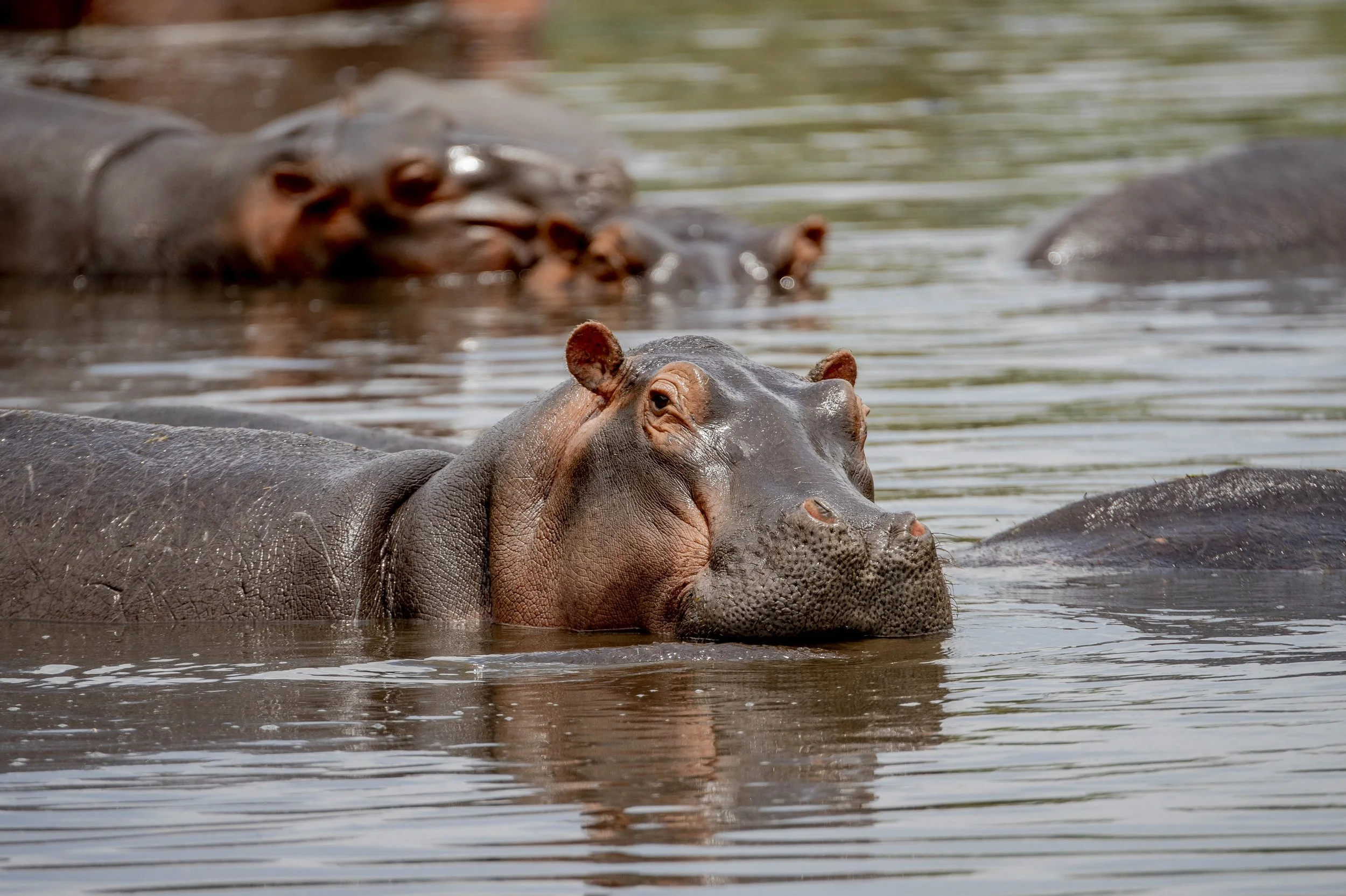 GUIDED TZ DAY 4_169.JPG