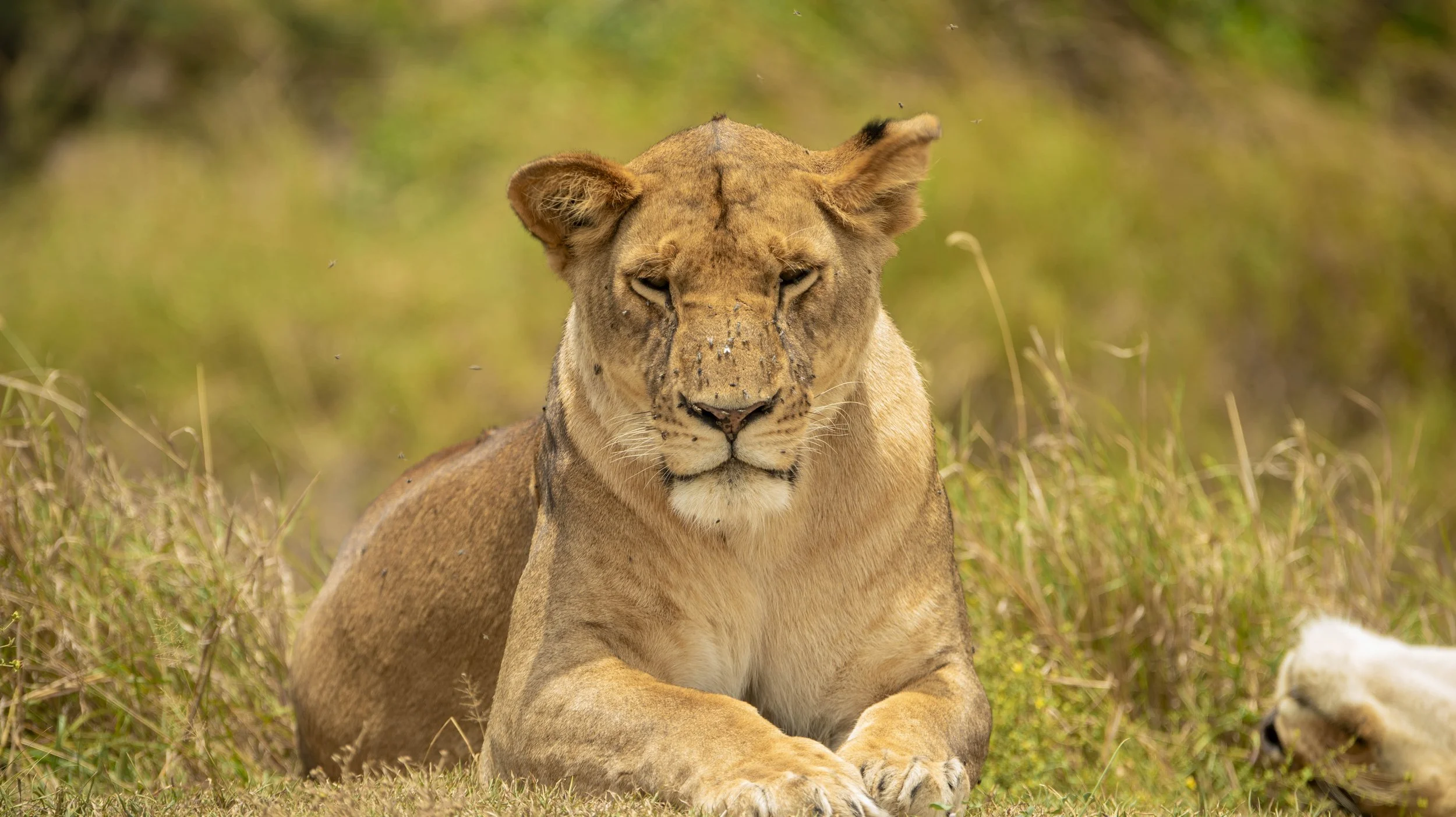 GUIDED TZ DAY 2_122.JPG