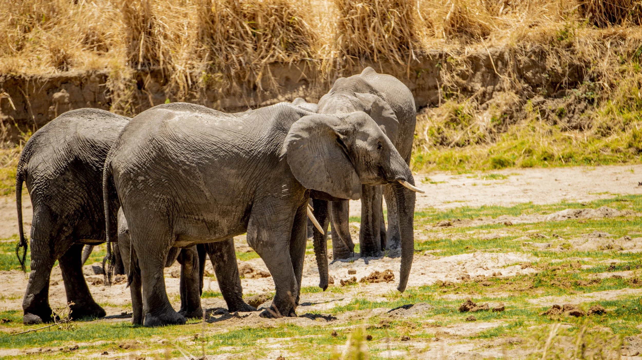 GUIDED TZ DAY 7_8_221.JPG