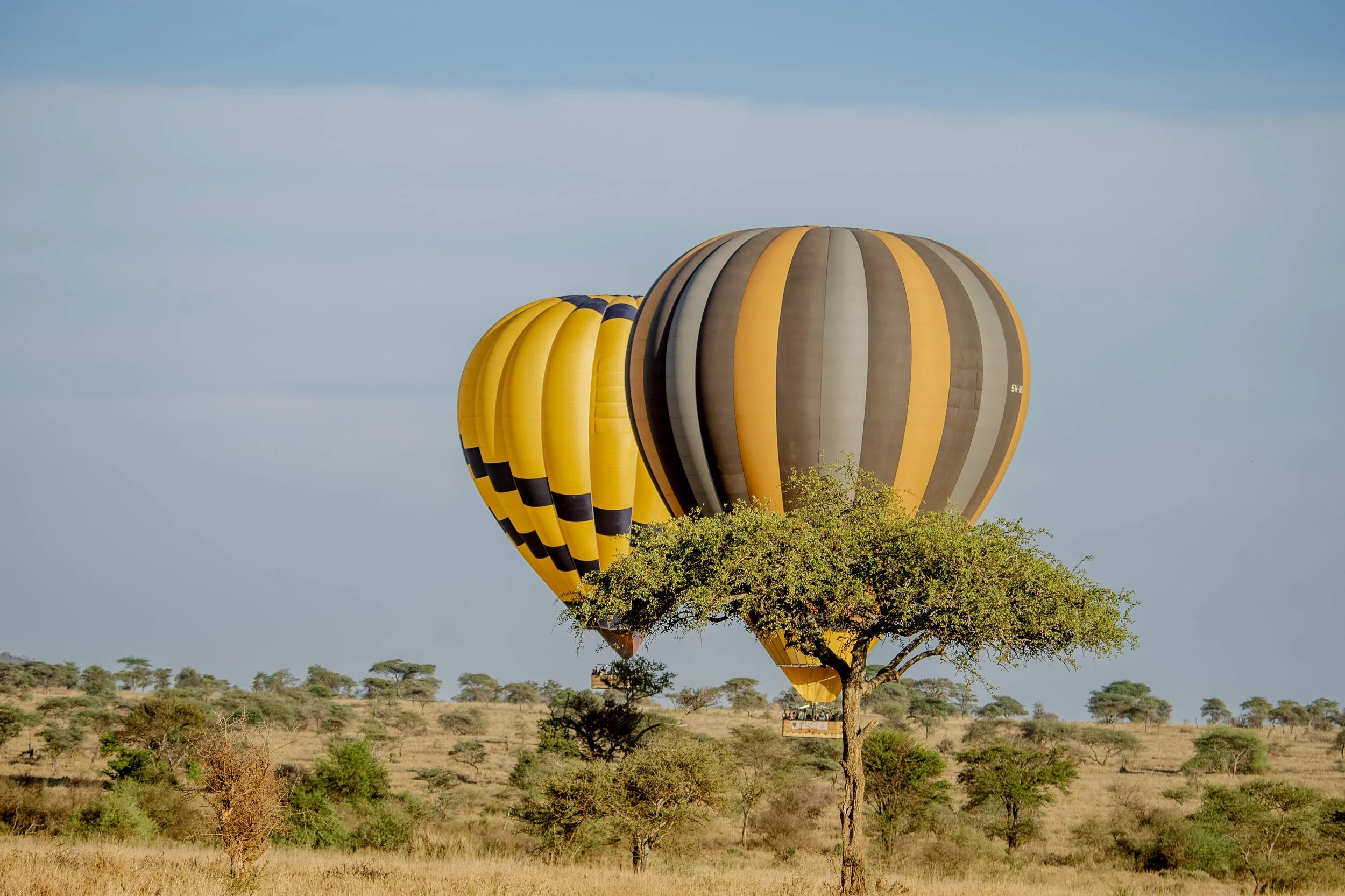 GUIDED TZ DAY 6_23.JPG